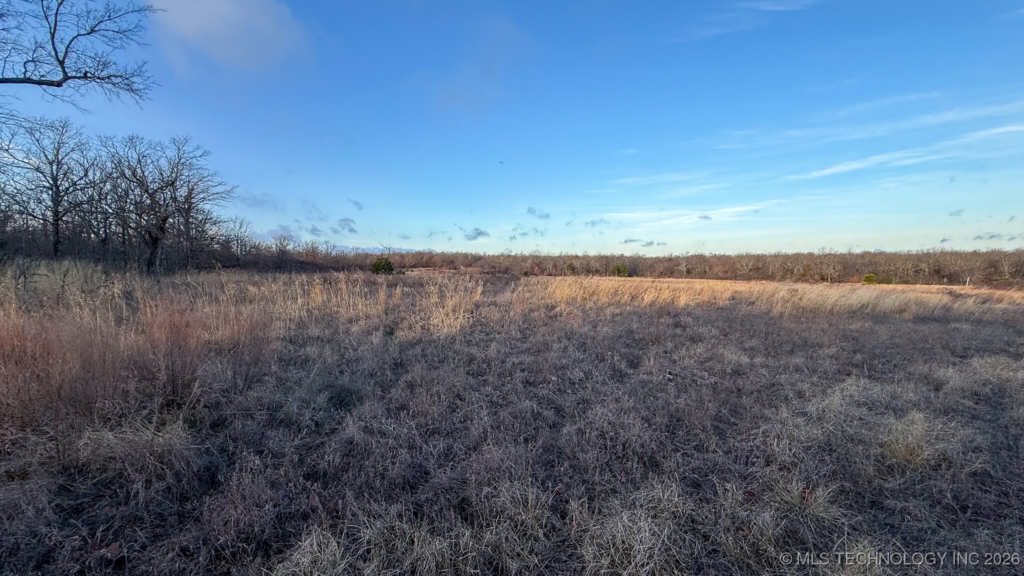 1100 Etchison Road Property Photo 55