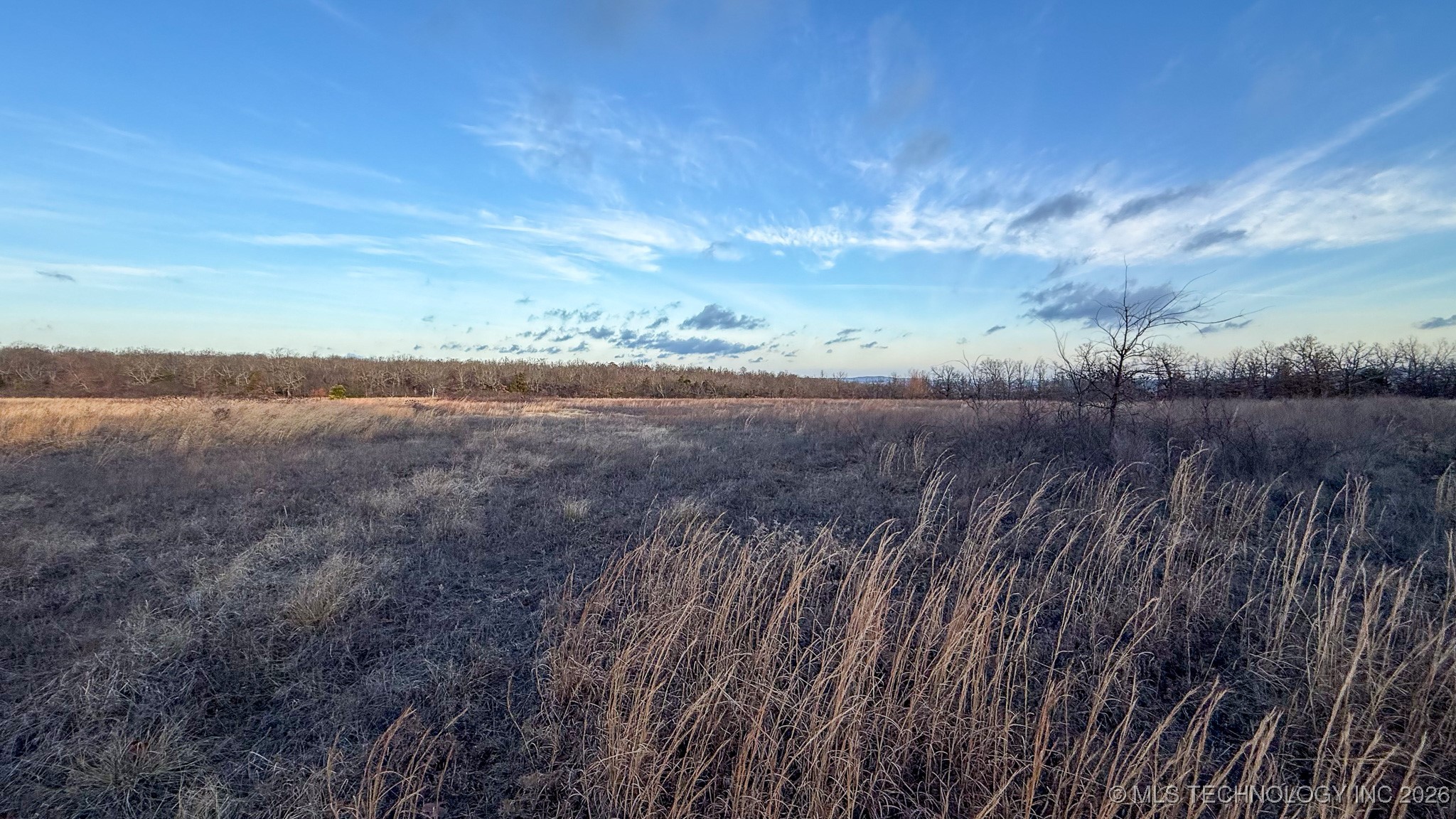 1100 Etchison Road Property Photo 56