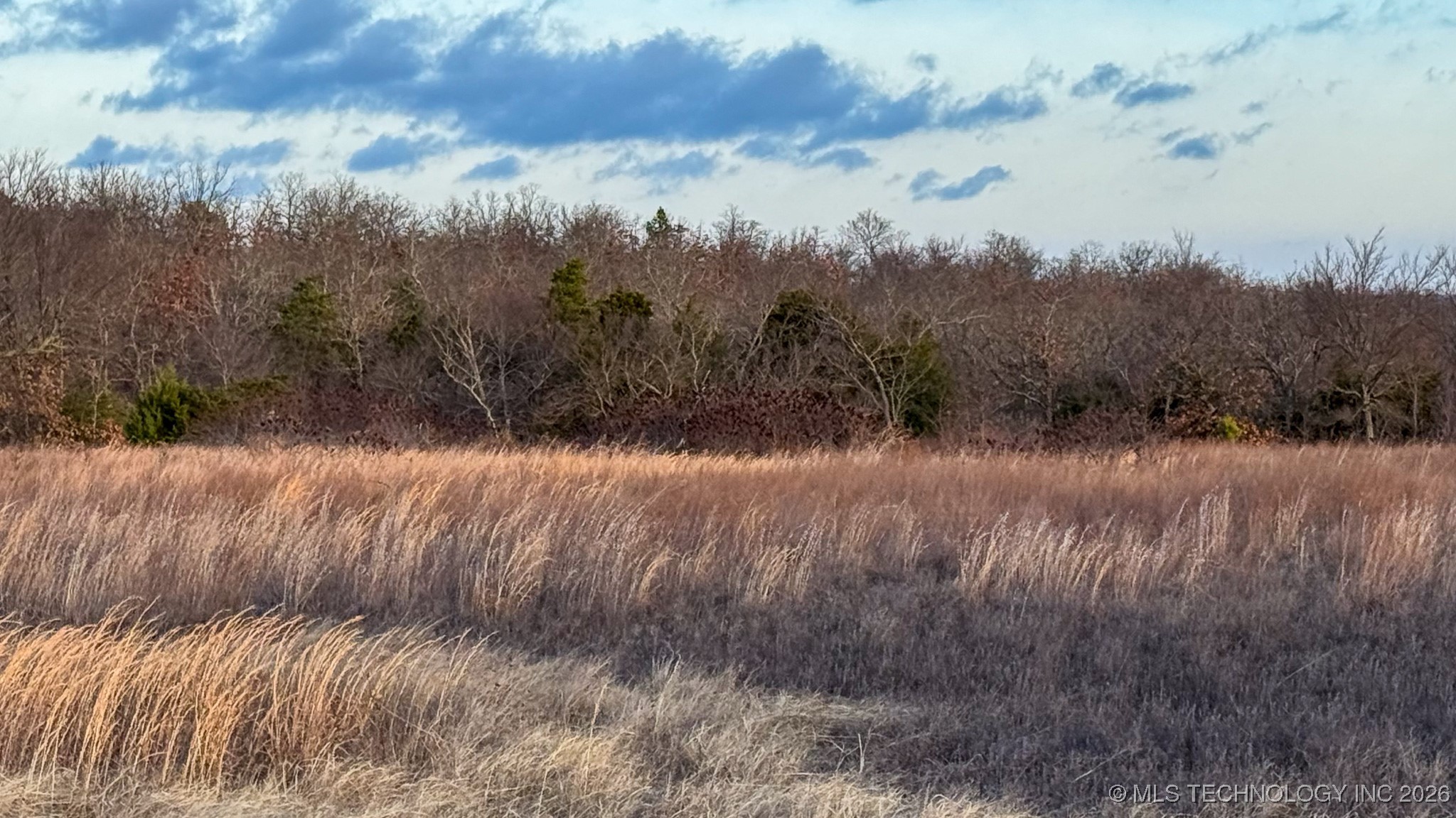 1100 Etchison Road Property Photo 57