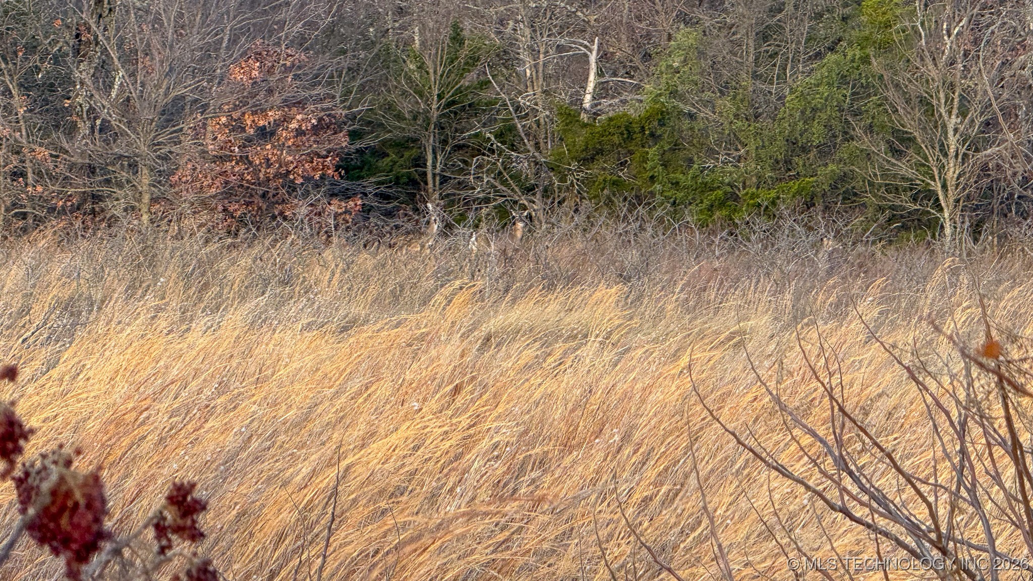 1100 Etchison Road Property Photo 58