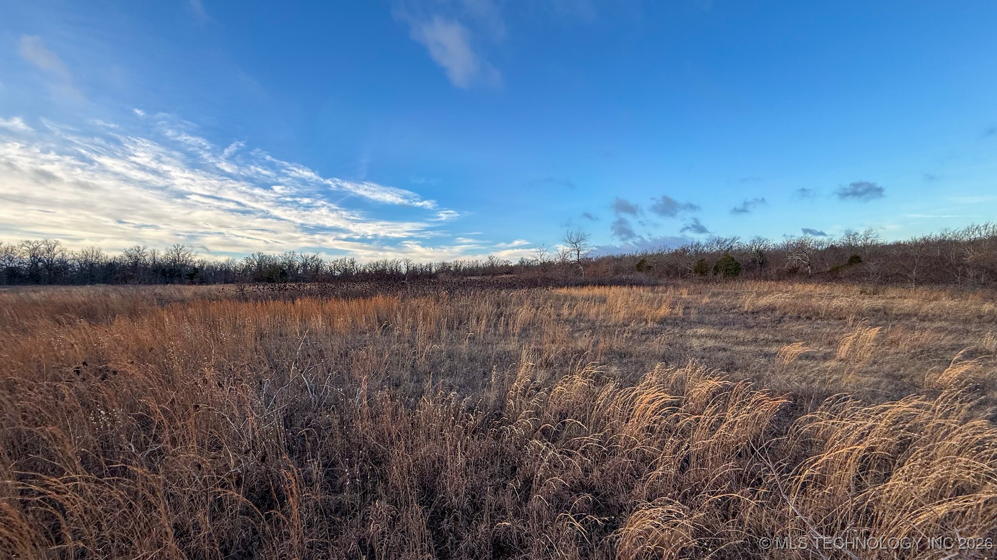 1100 Etchison Road Property Photo 59
