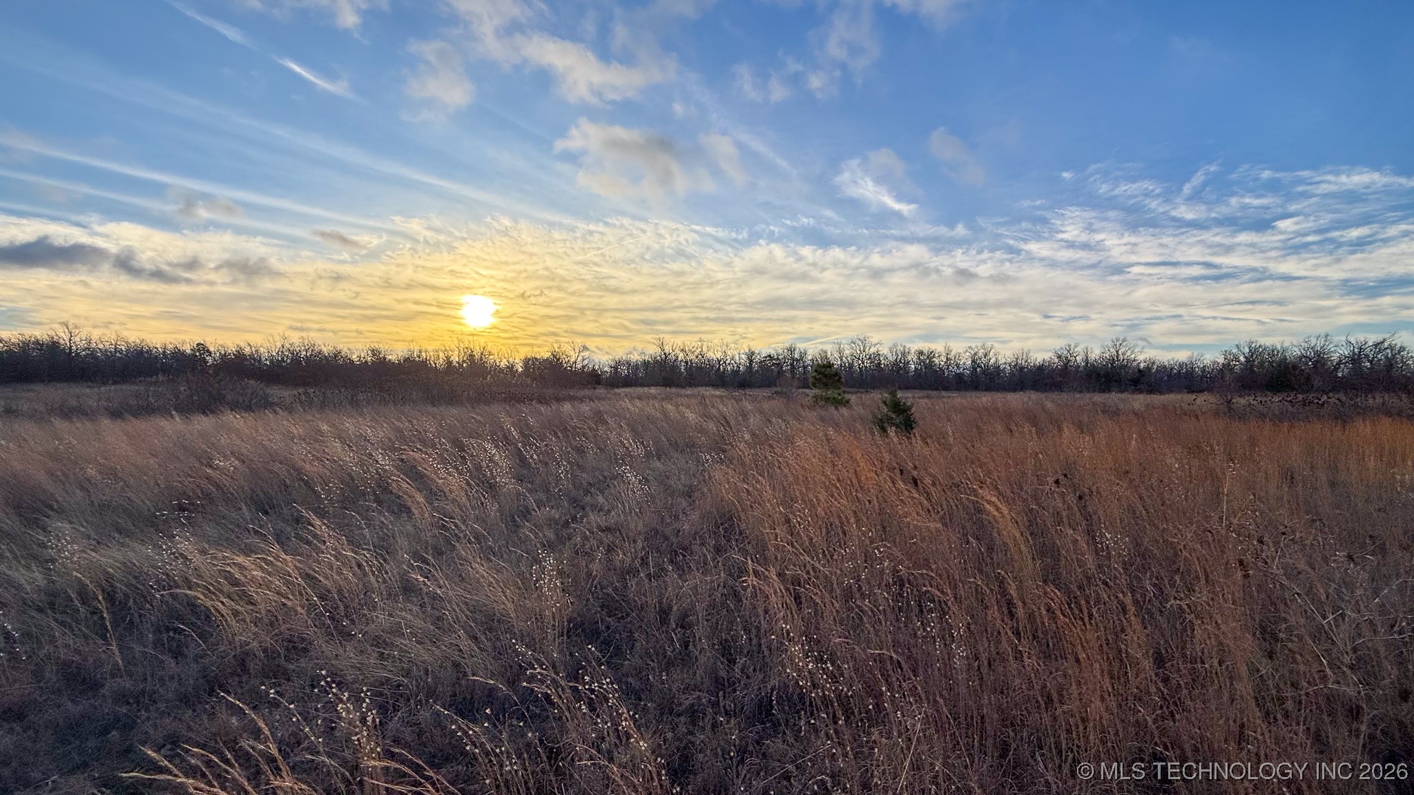 1100 Etchison Road Property Photo 60
