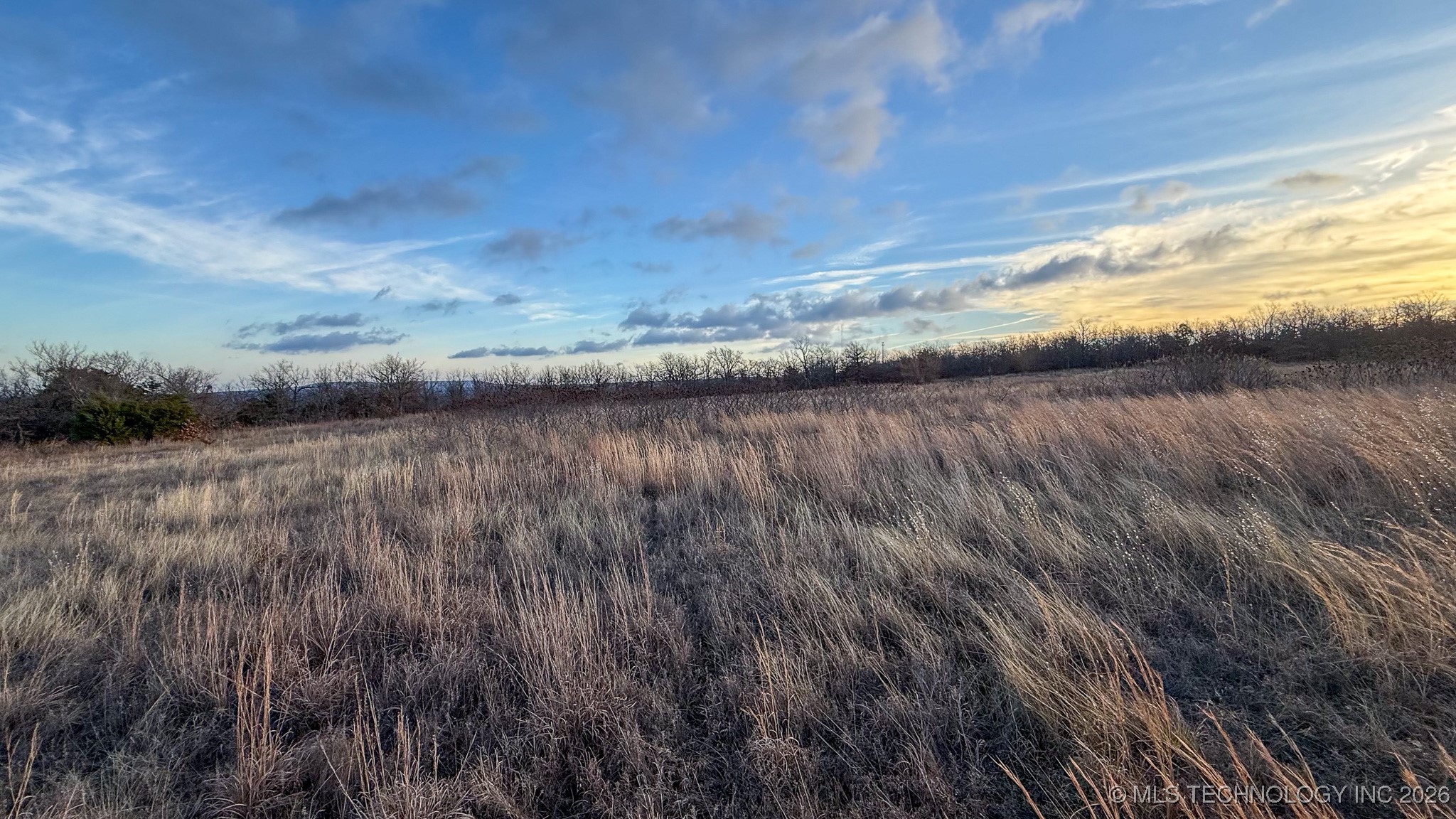 1100 Etchison Road Property Photo 61