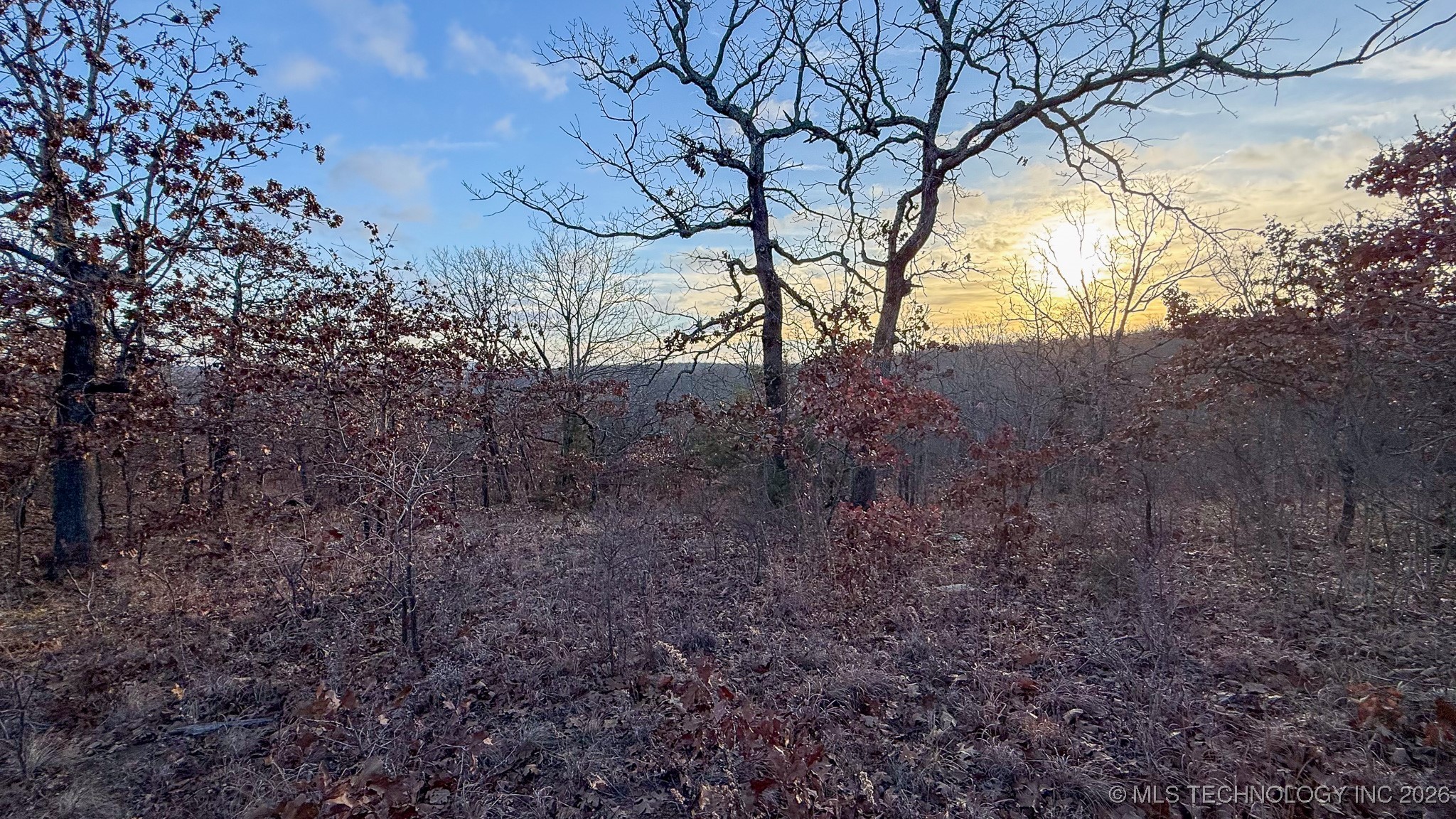 1100 Etchison Road Property Photo 62