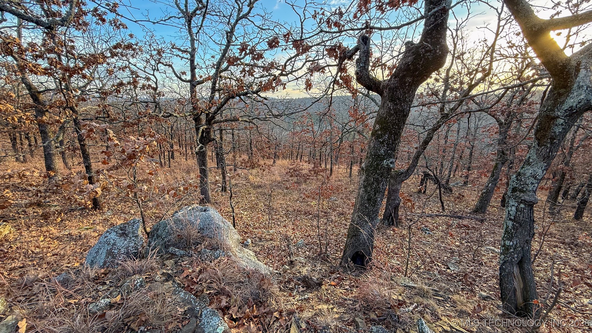 1100 Etchison Road Property Photo 64