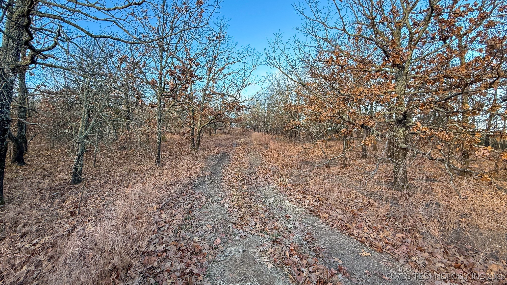 1100 Etchison Road Property Photo 65