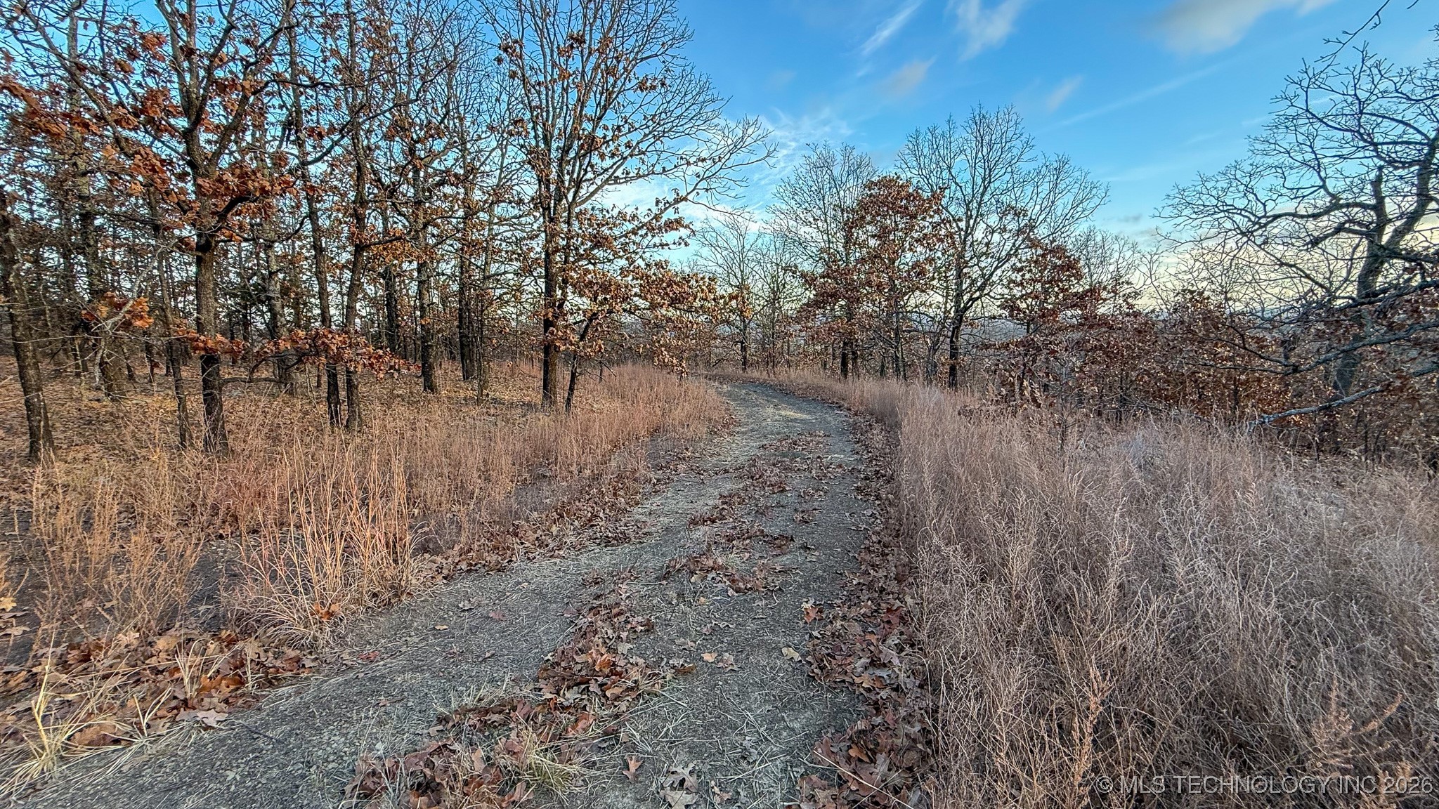 1100 Etchison Road Property Photo 66