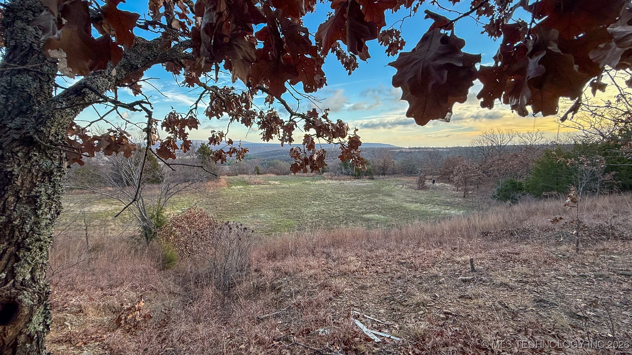 1100 Etchison Road Property Photo 73