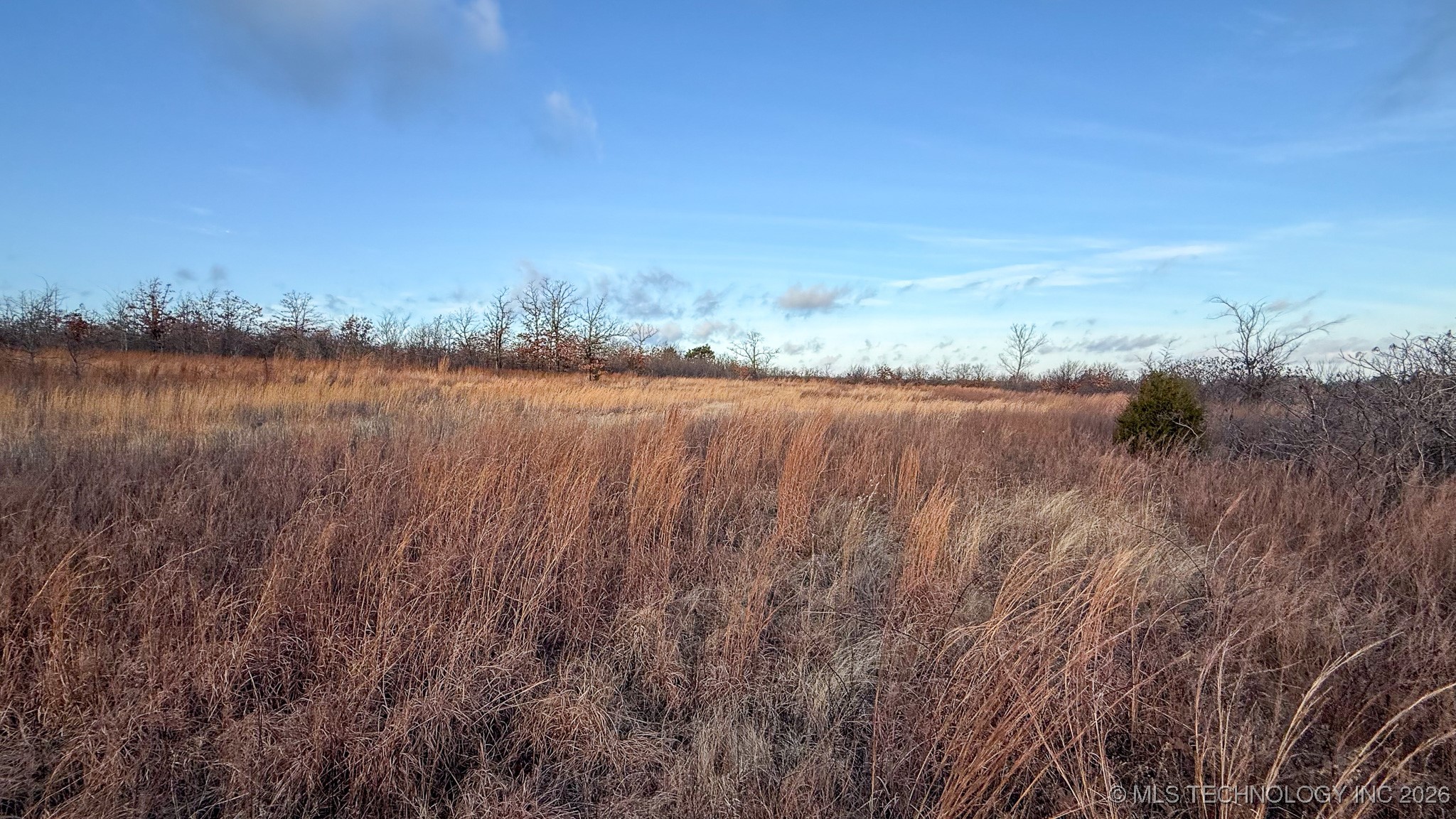 1100 Etchison Road Property Photo 74