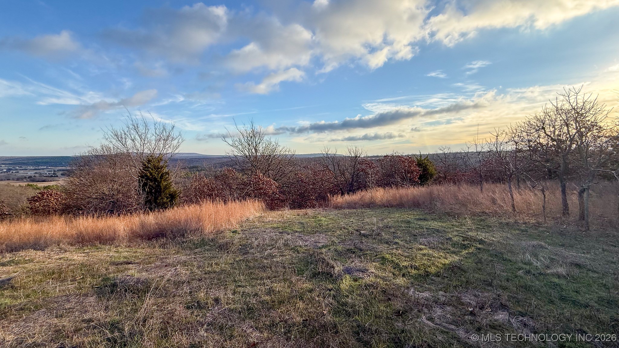 1100 Etchison Road Property Photo 80