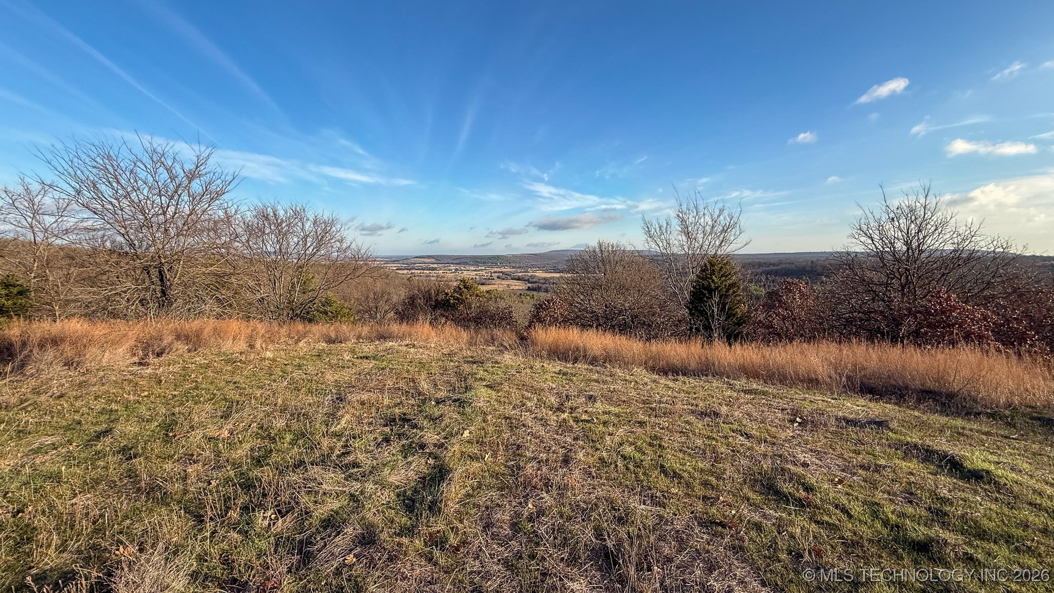 1100 Etchison Road Property Photo 81