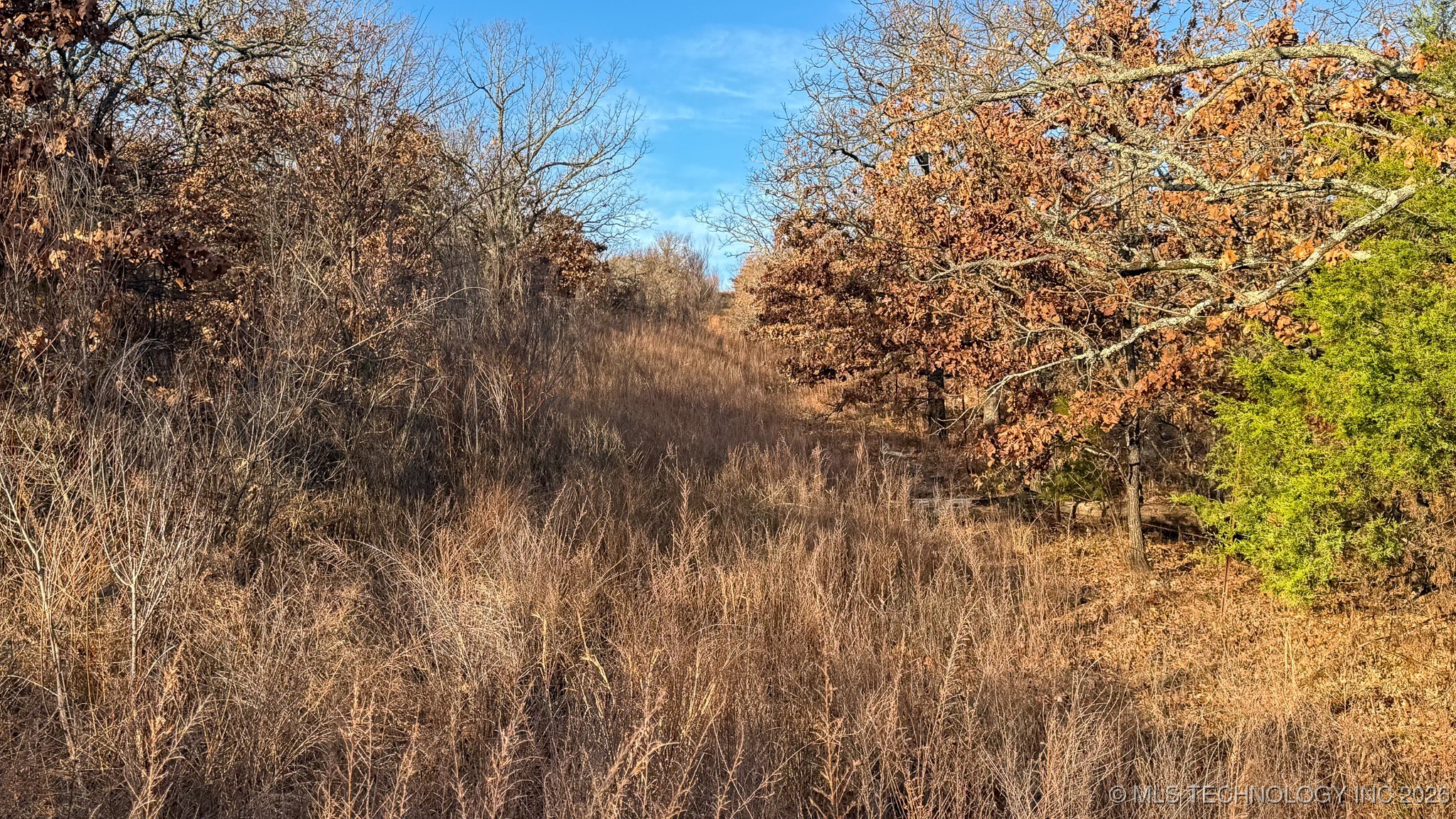 1100 Etchison Road Property Photo 82