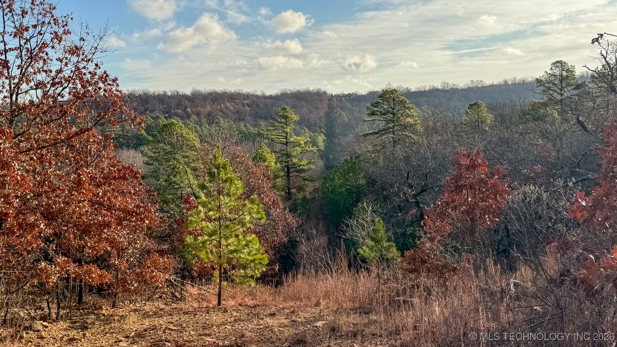 1100 Etchison Road Property Photo 83
