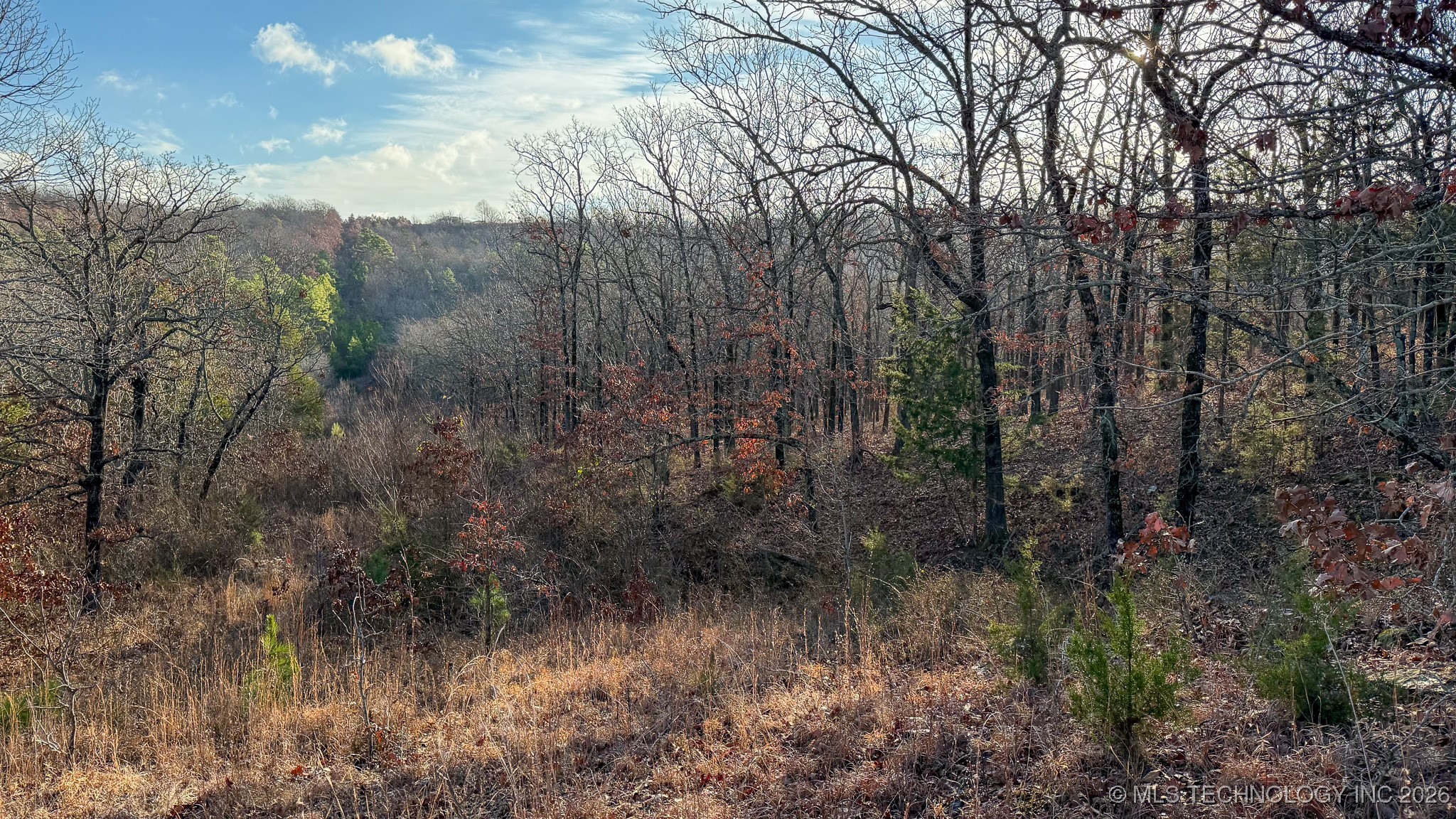 1100 Etchison Road Property Photo 84