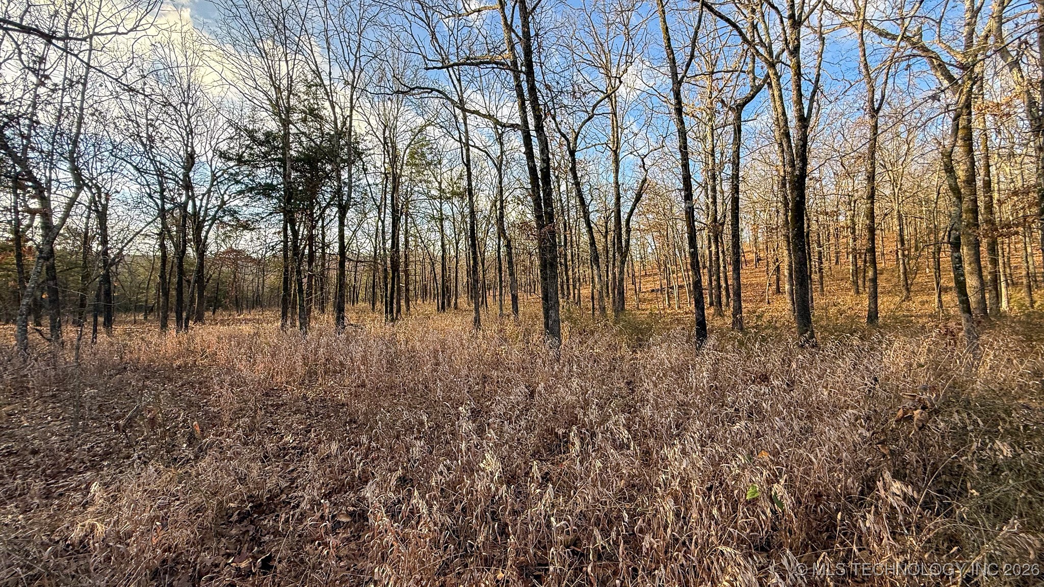 1100 Etchison Road Property Photo 85