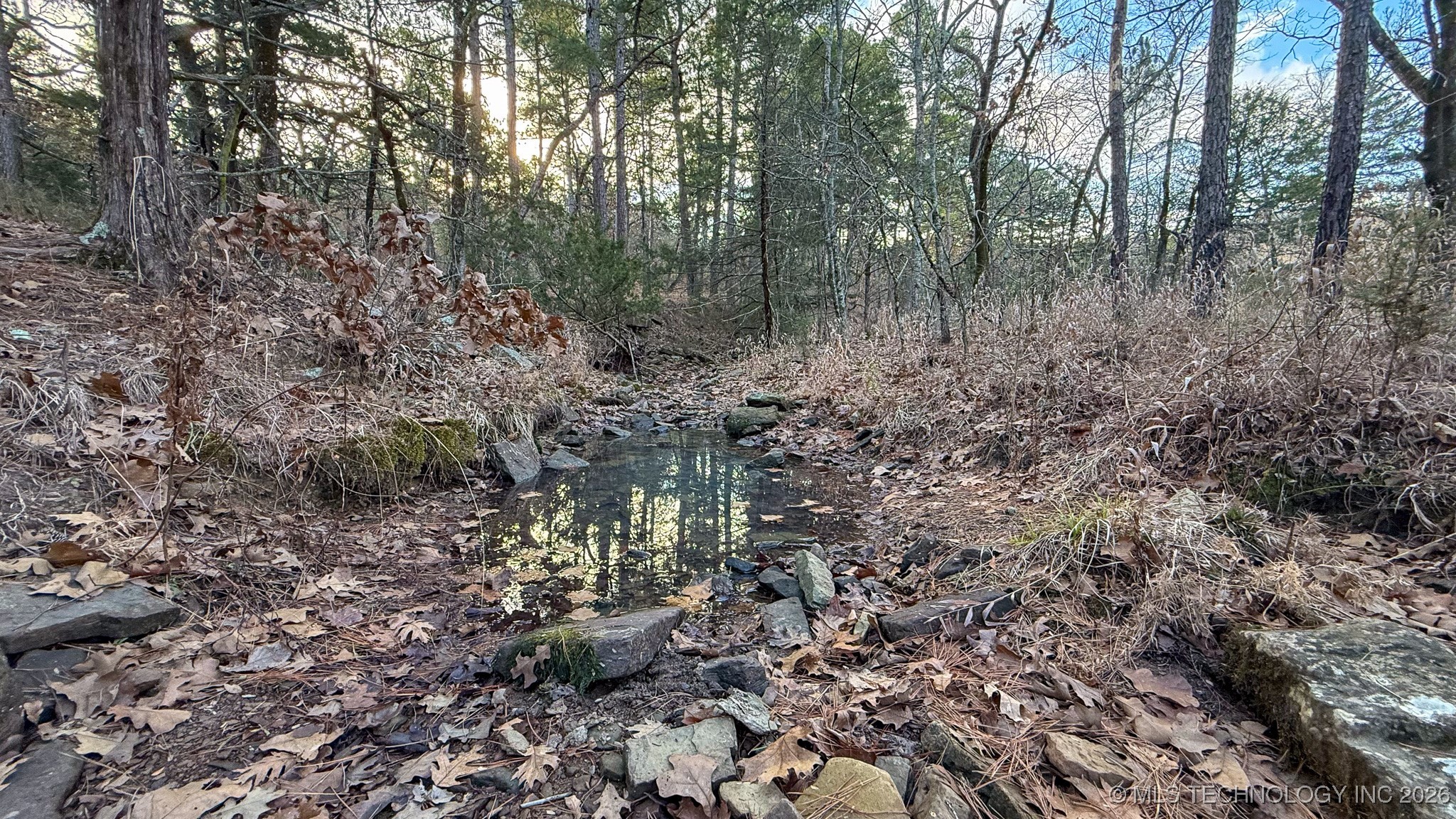 1100 Etchison Road Property Photo 86