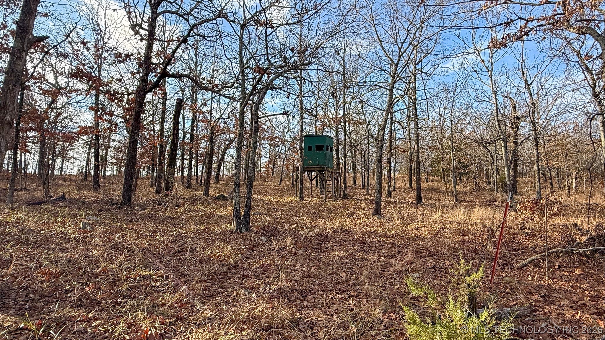 1100 Etchison Road Property Photo 88