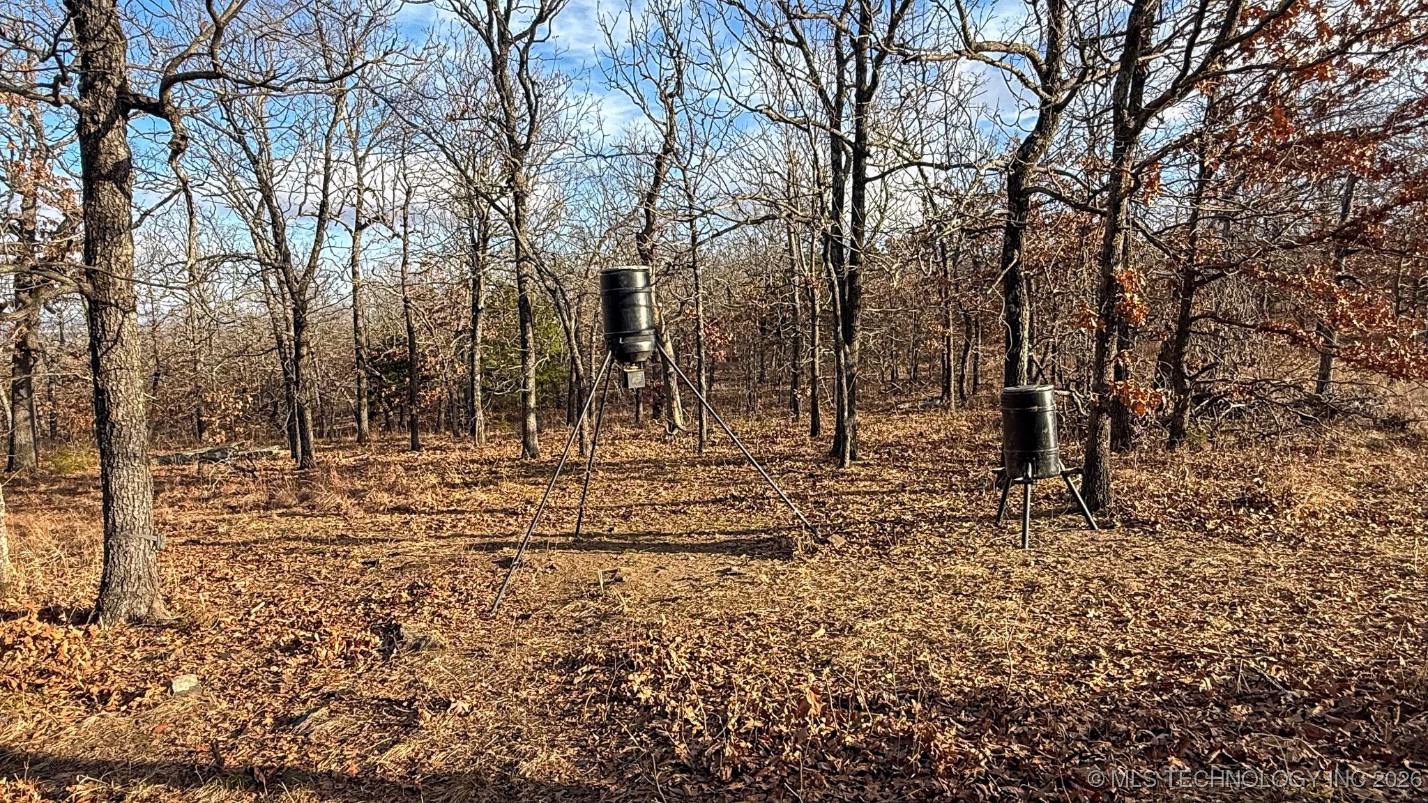 1100 Etchison Road Property Photo 89