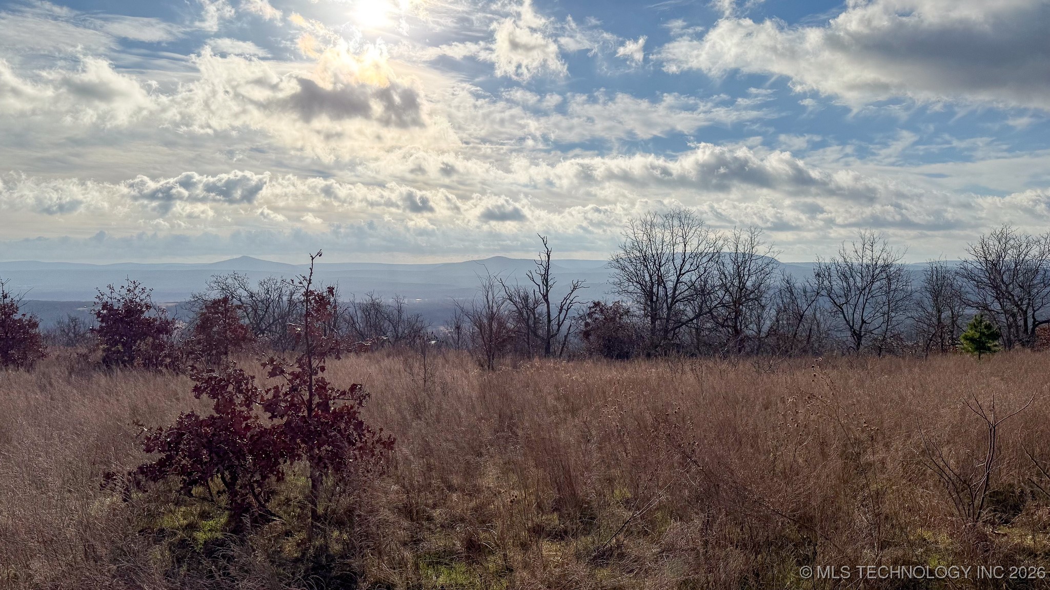 1100 Etchison Road Property Photo 91