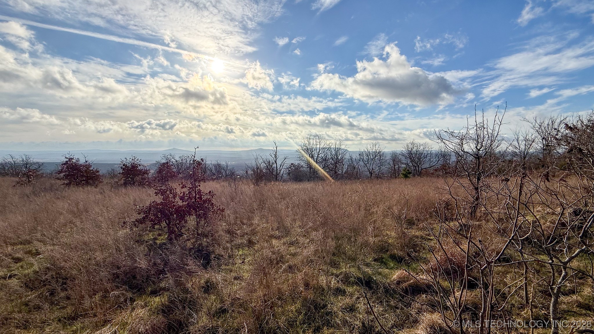 1100 Etchison Road Property Photo 92