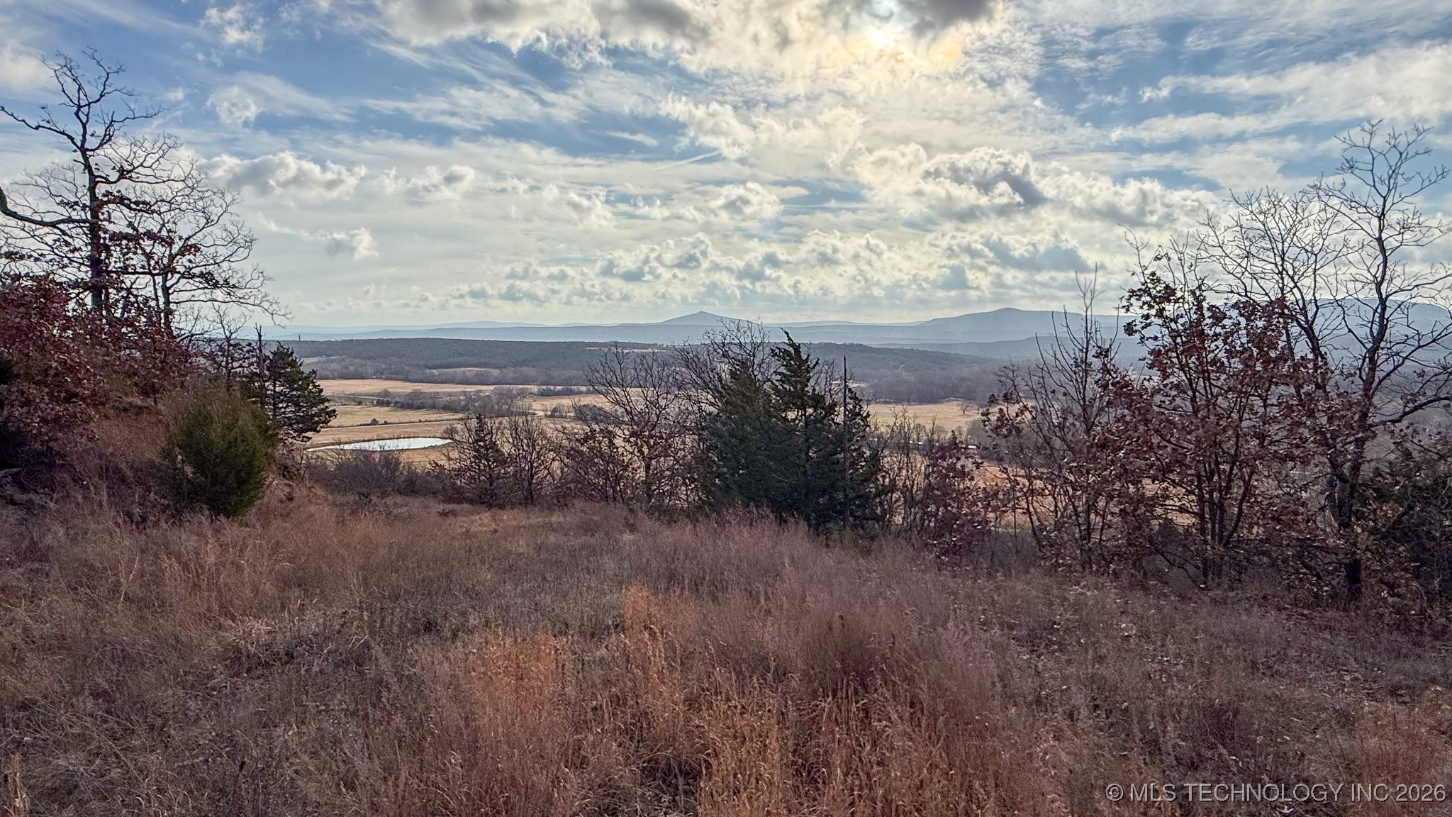 1100 Etchison Road Property Photo 94