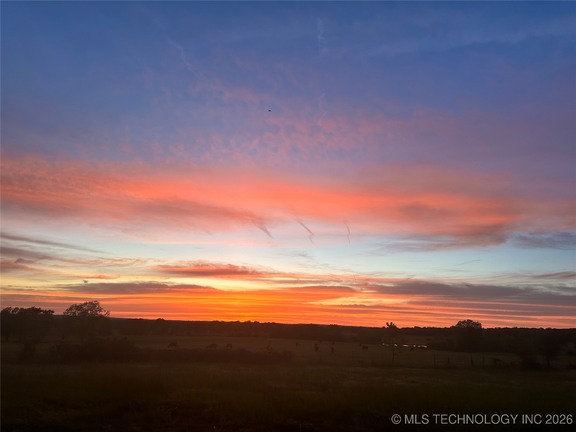22873 County Road 3620 Property Photo 2