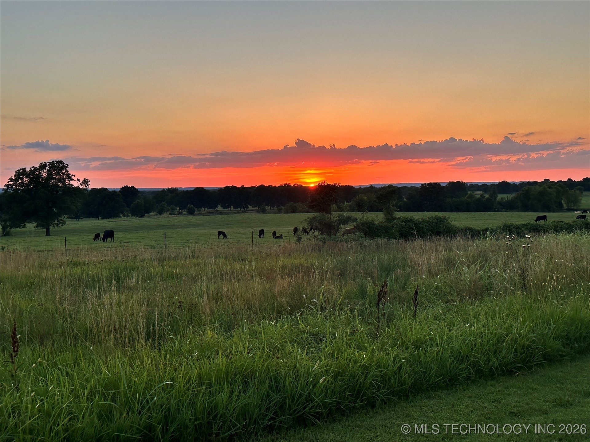 22873 County Road 3620 Property Photo 3