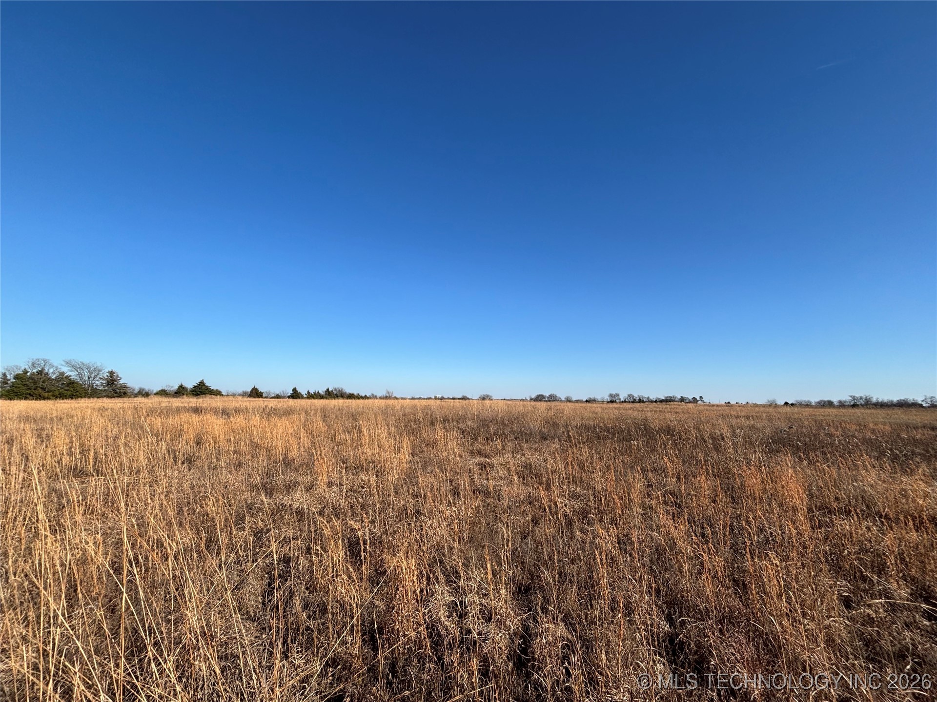 1410 Sexton Road Property Photo 5