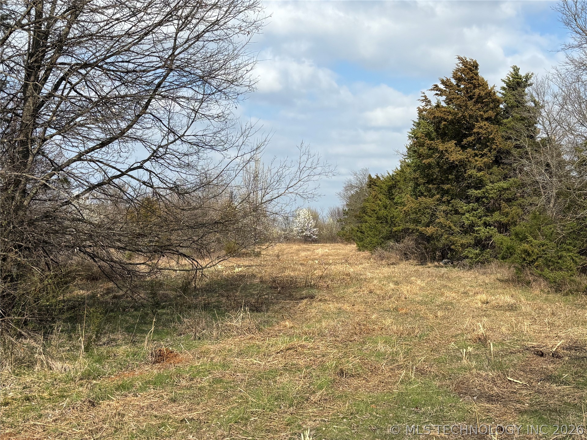 1430 Sexton Road Property Photo 13