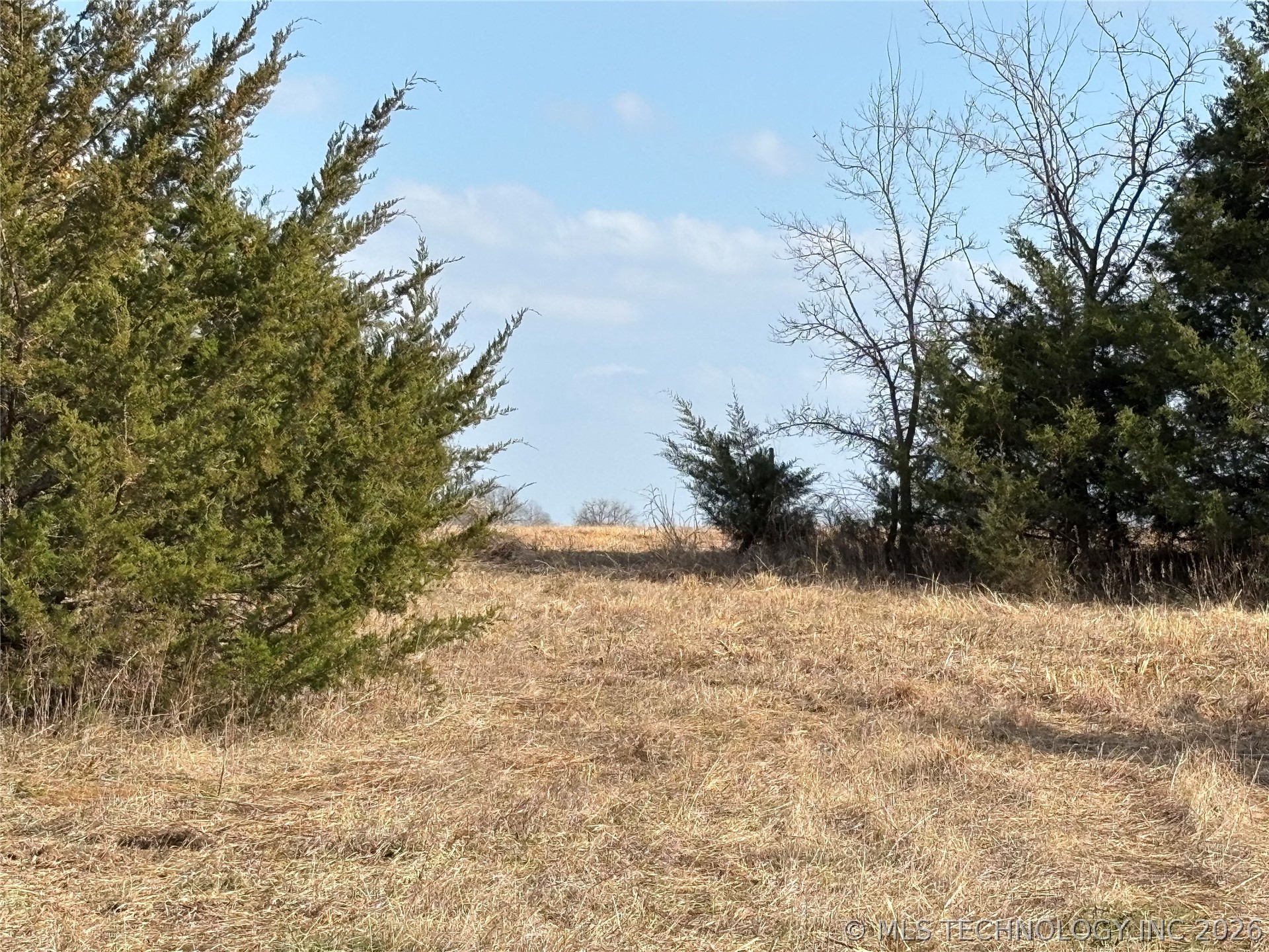 1430 Sexton Road Property Photo 19