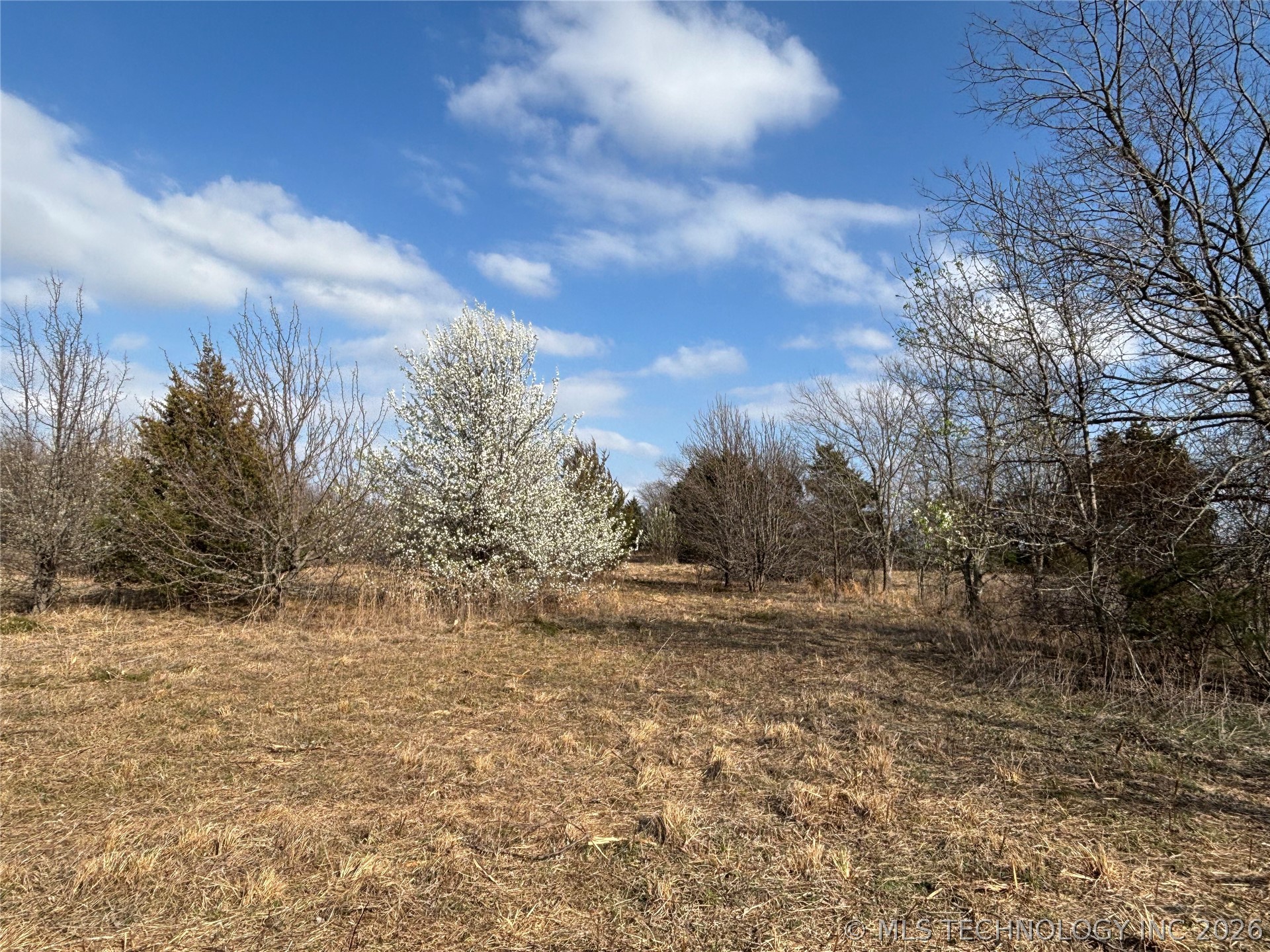 1430 Sexton Road Property Photo 22