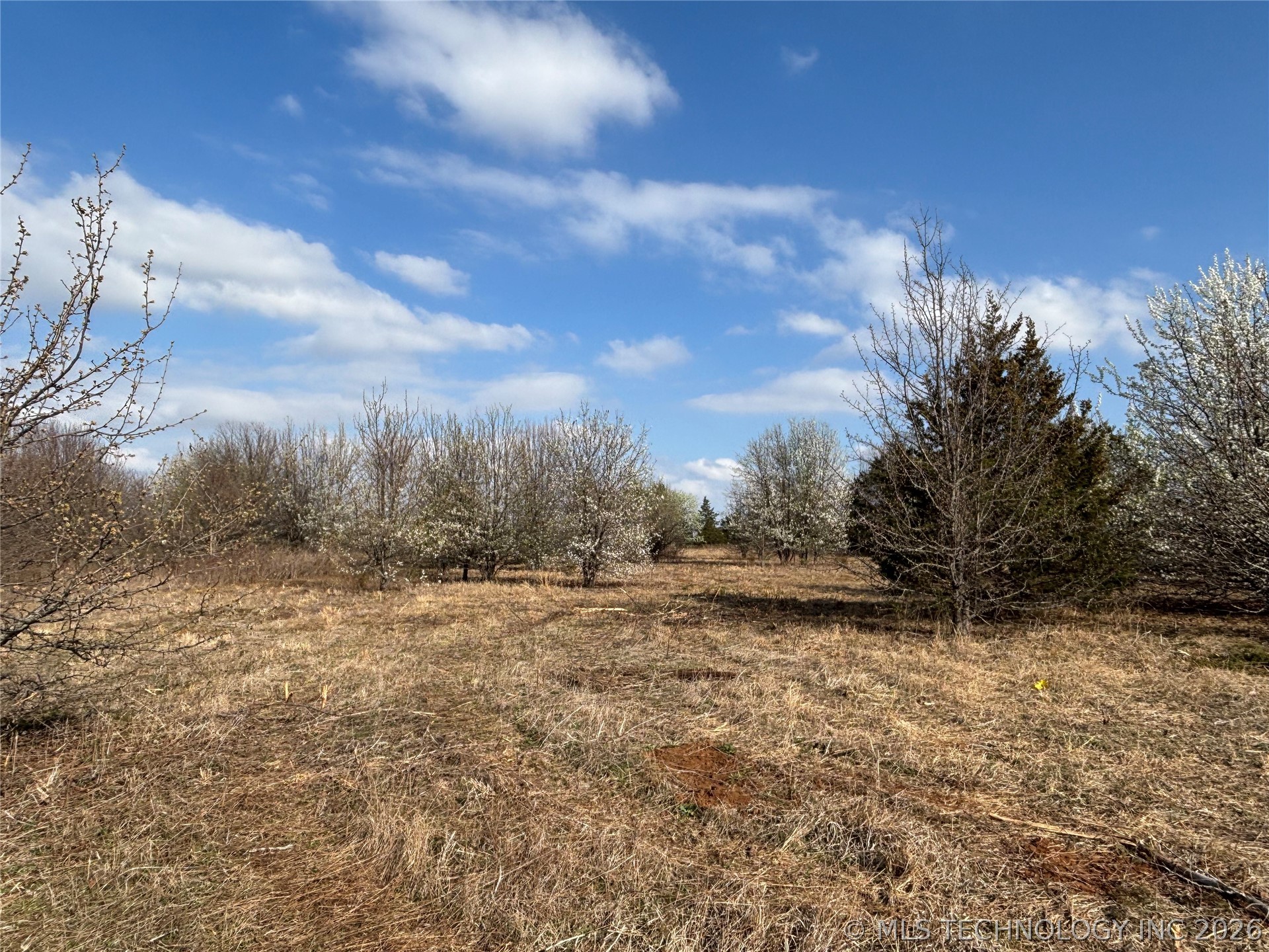 1430 Sexton Road Property Photo 23