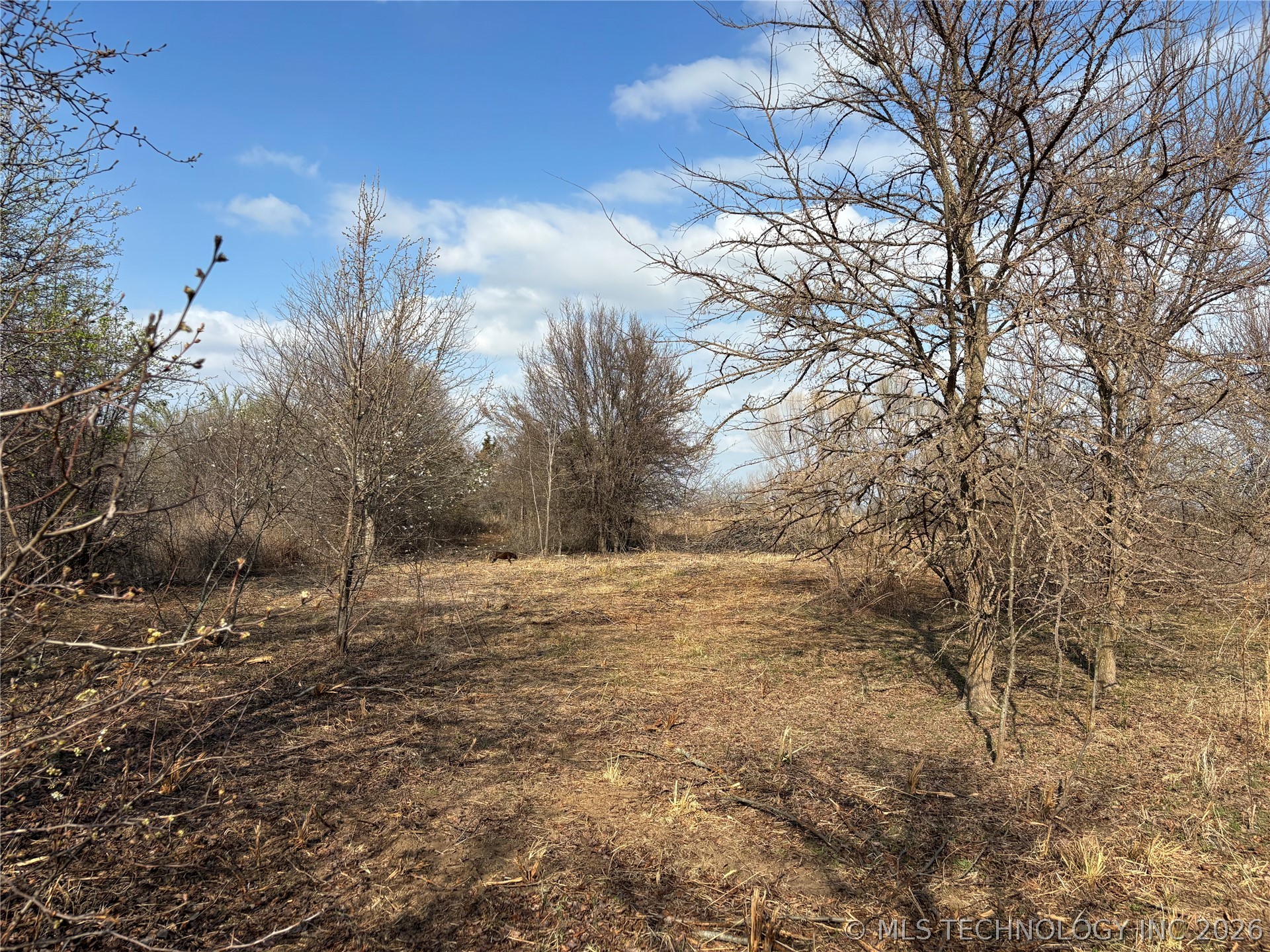 1430 Sexton Road Property Photo 26