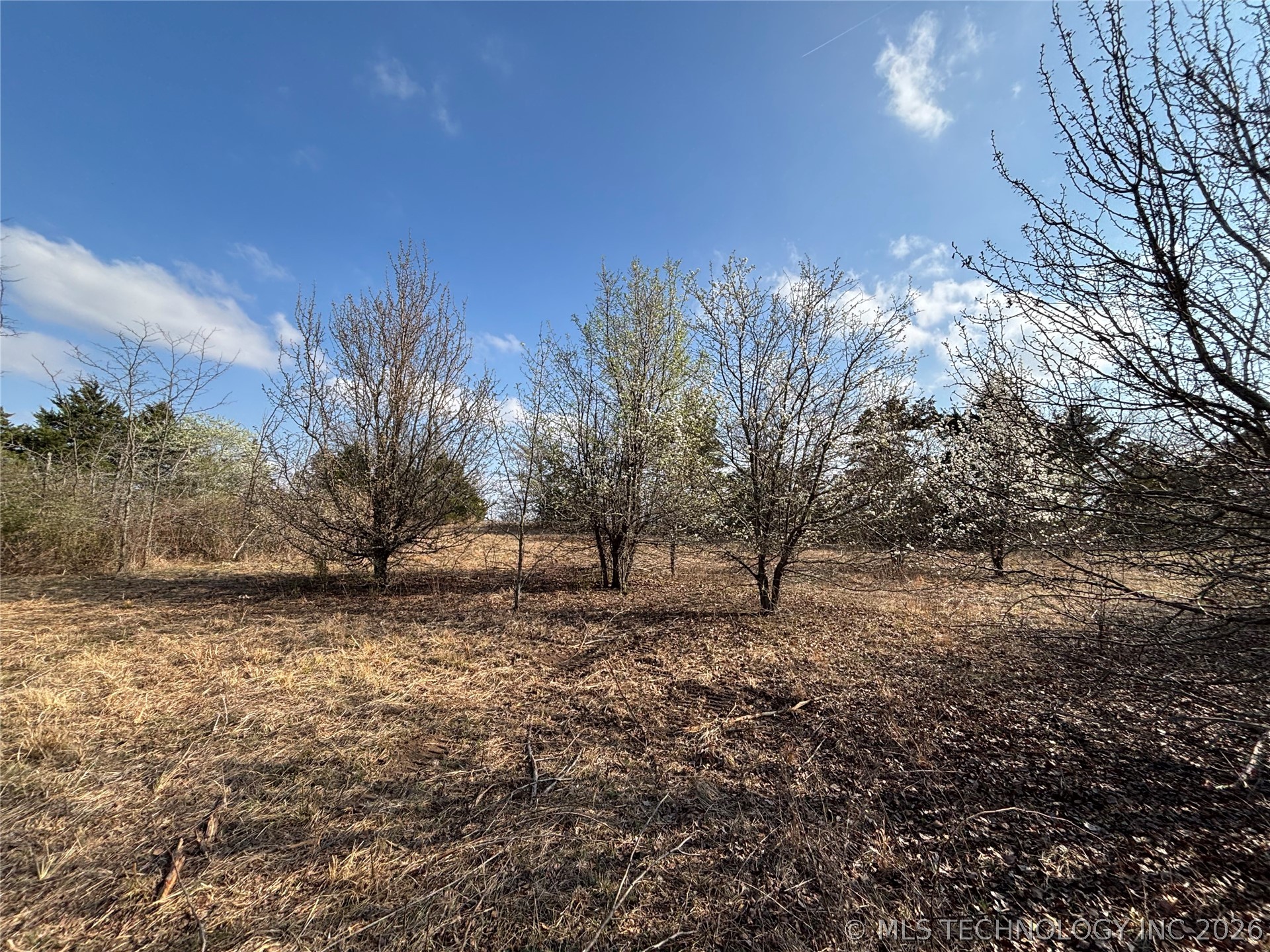 1430 Sexton Road Property Photo 27