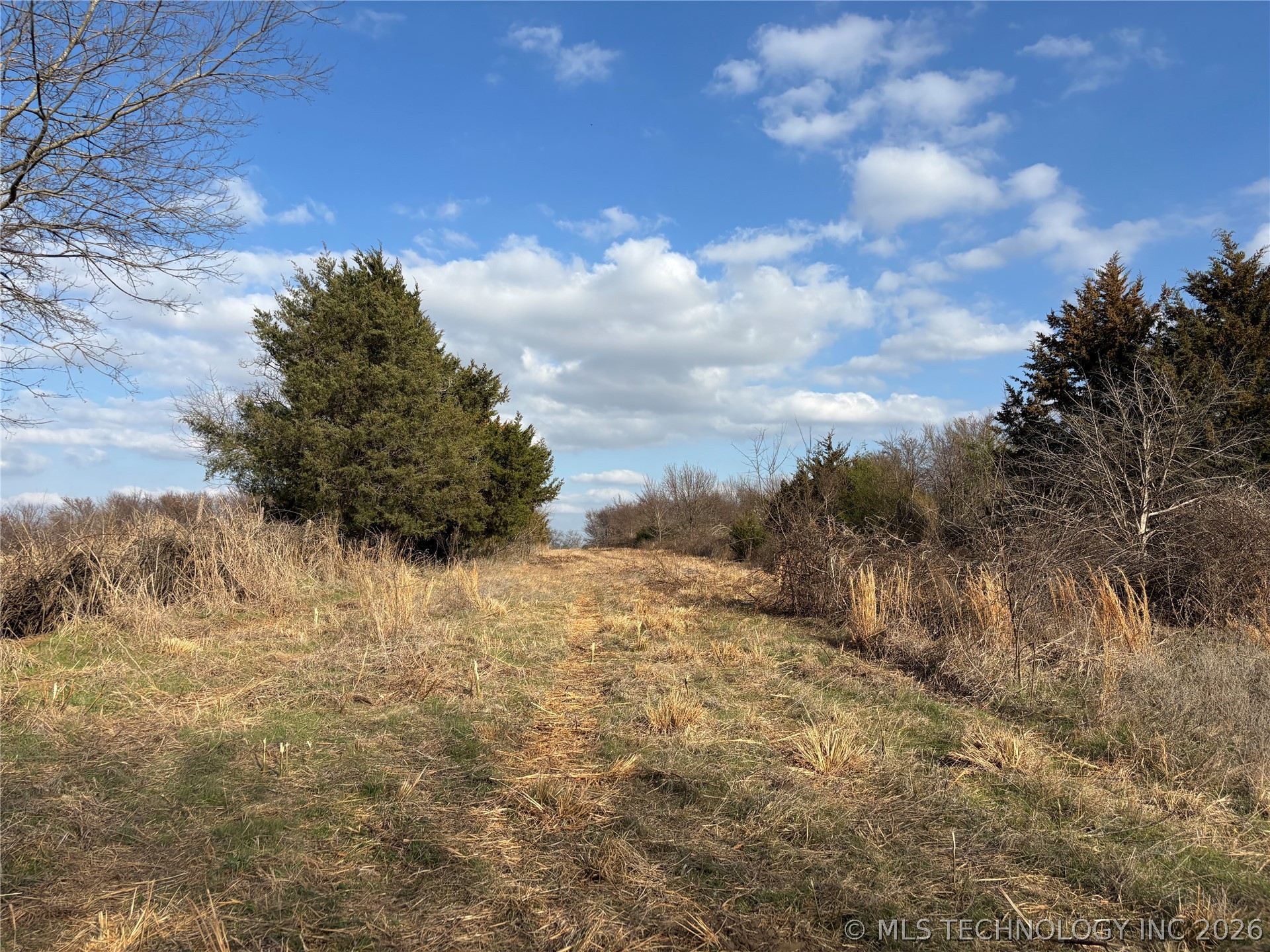 1430 Sexton Road Property Photo 29