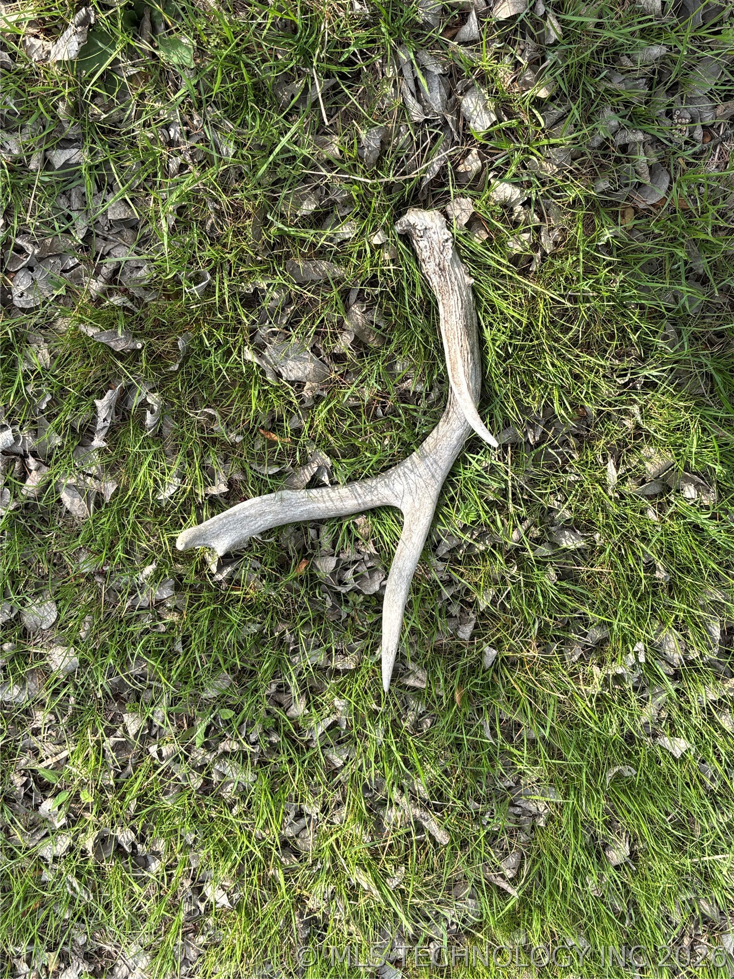 1430 Sexton Road Property Photo 34