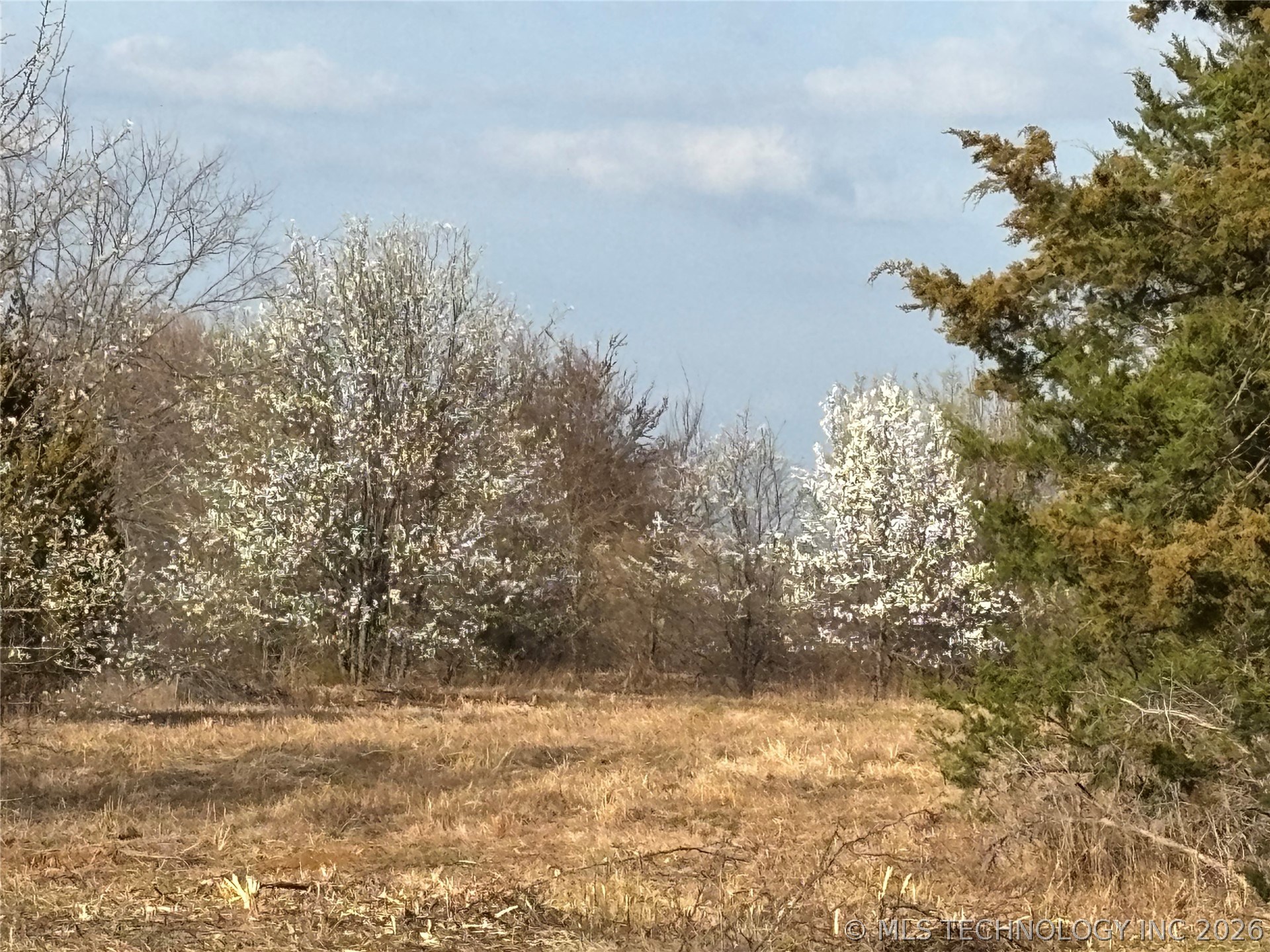 1430 Sexton Road Property Photo 38