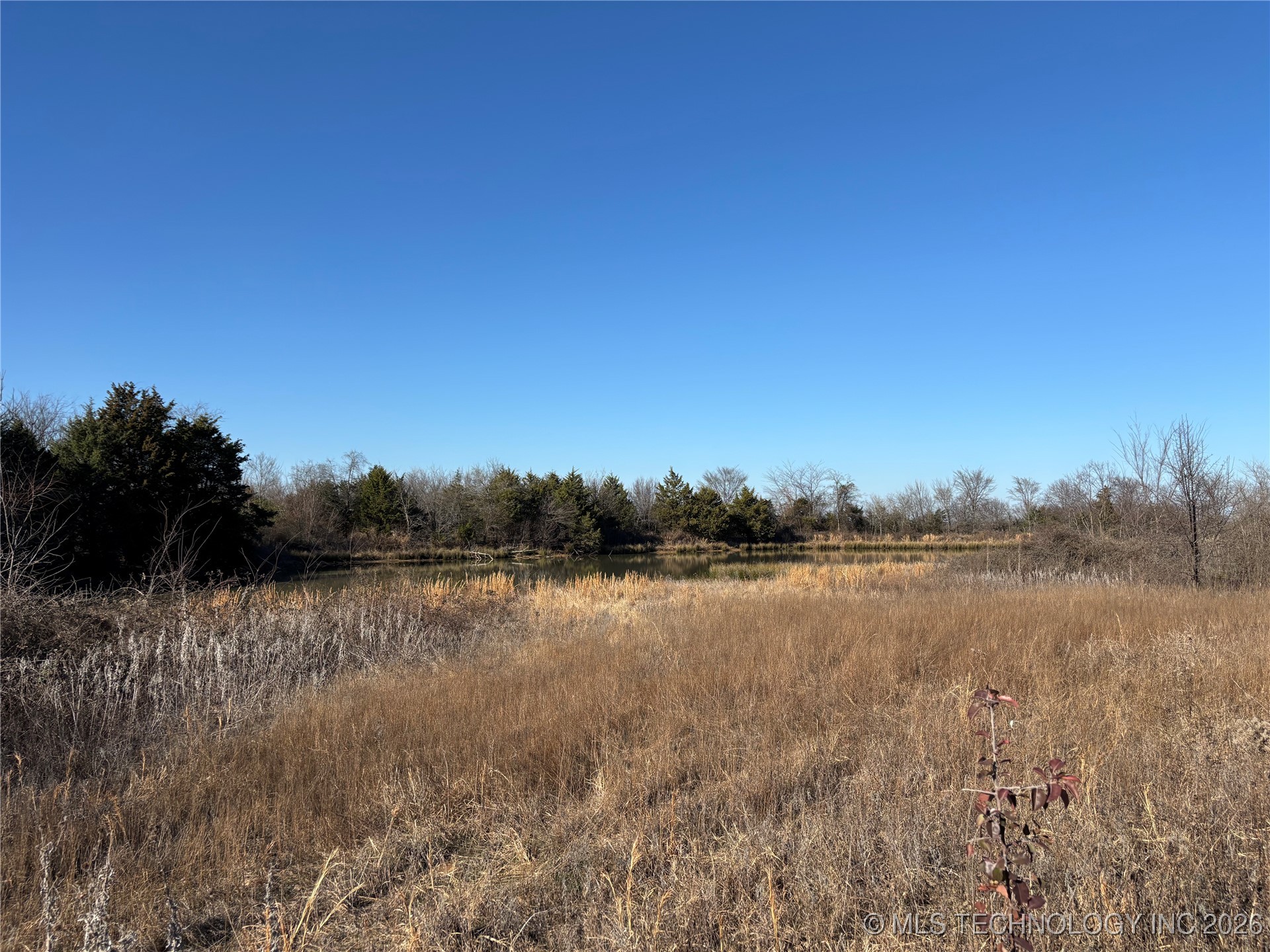 1430 Sexton Road Property Photo 40