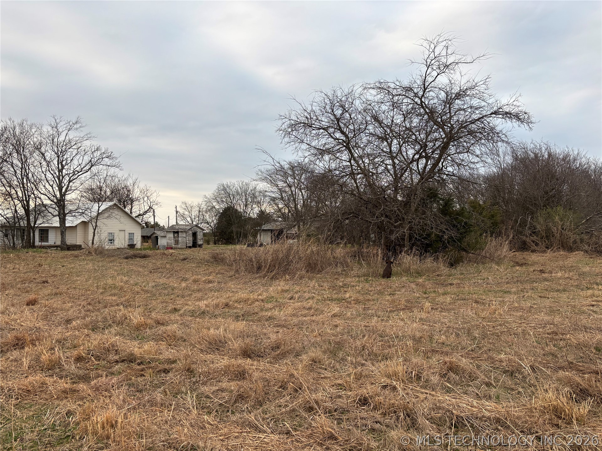 1398 Sexton Property Photo 4