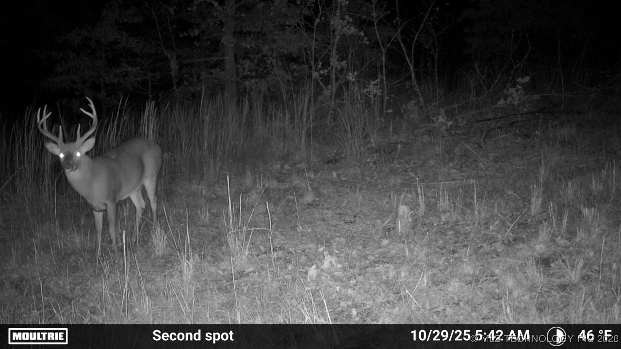 36895 W 91st Street S Property Photo 44