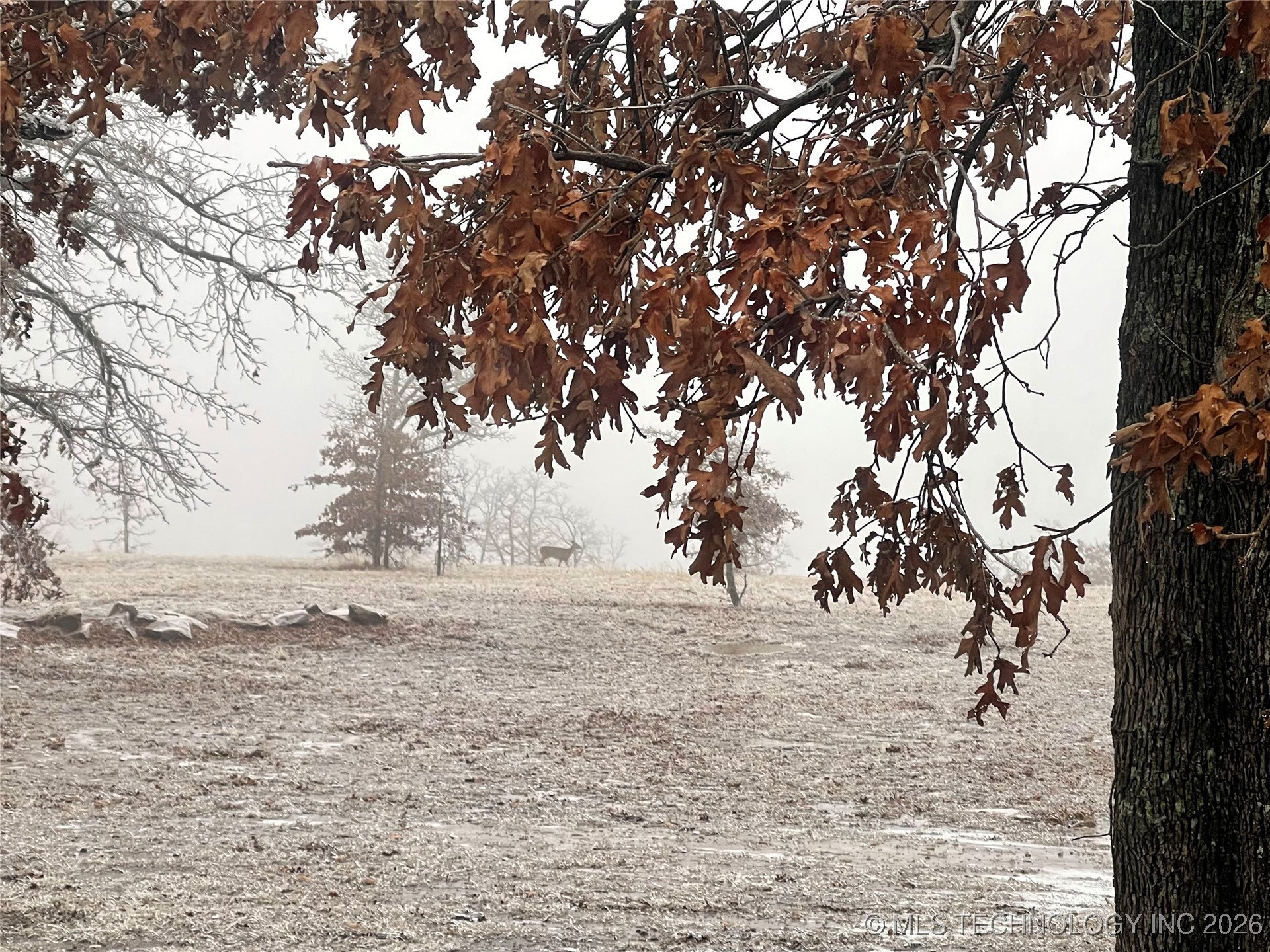 36895 W 91st Street S Property Photo 45