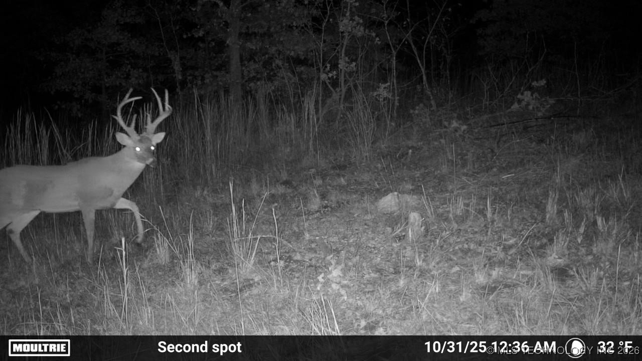 36895 W 91st Street S Property Photo 46