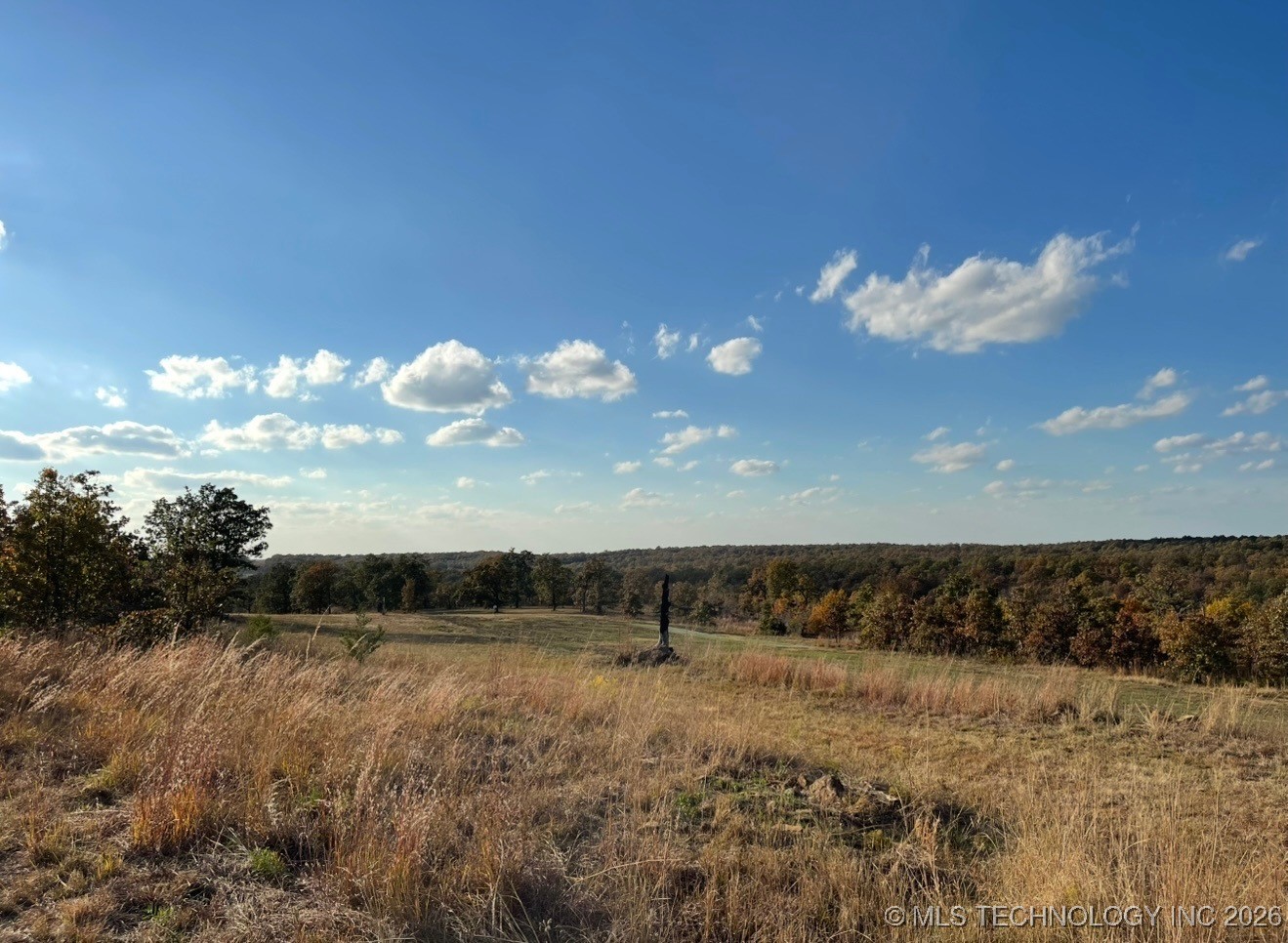 36895 W 91st Street S Property Photo 48