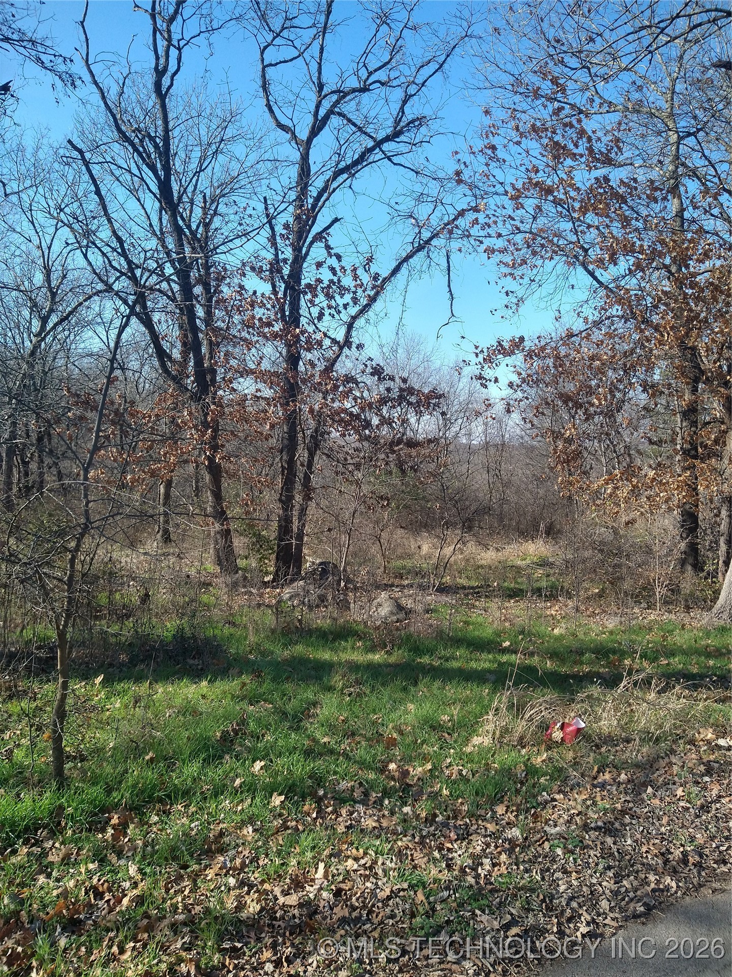 13122 S Red Bud Drive S Property Photo 2