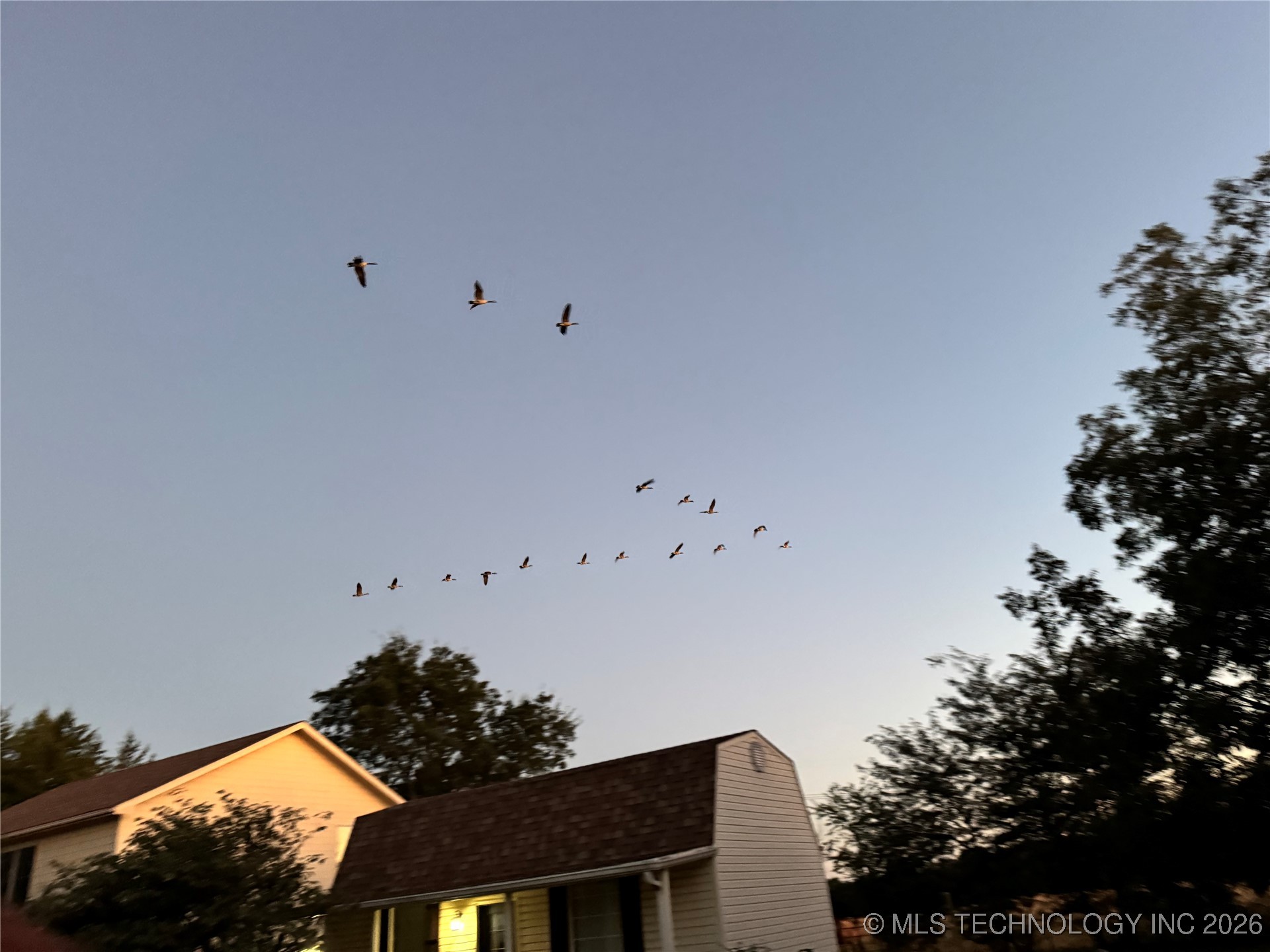 575 Majestic Hills Property Photo 85