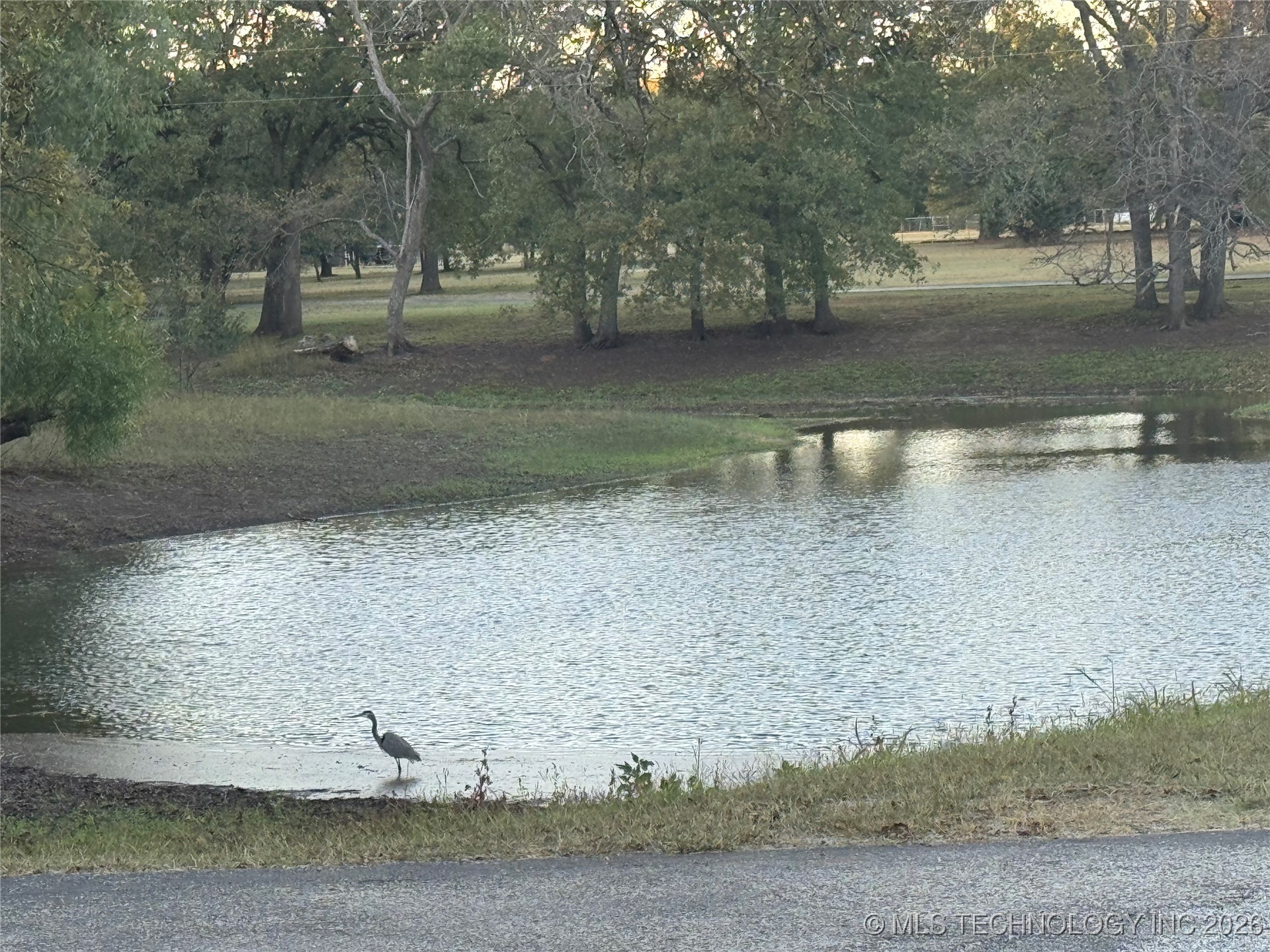 575 Majestic Hills Property Photo 86