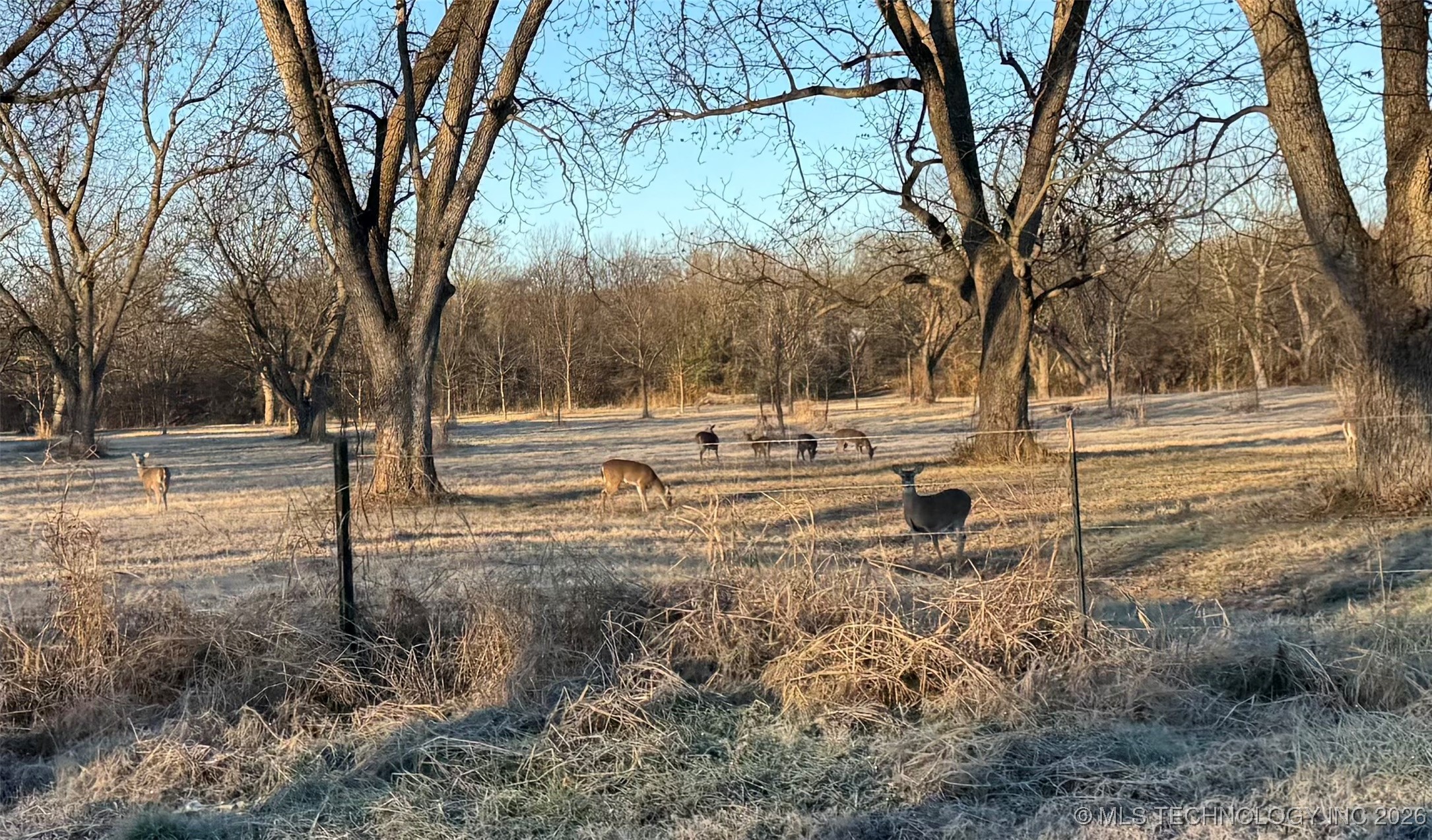 575 Majestic Hills Property Photo 87