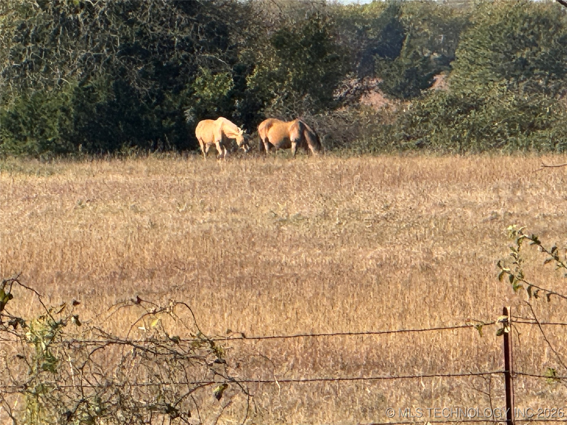 575 Majestic Hills Property Photo 89