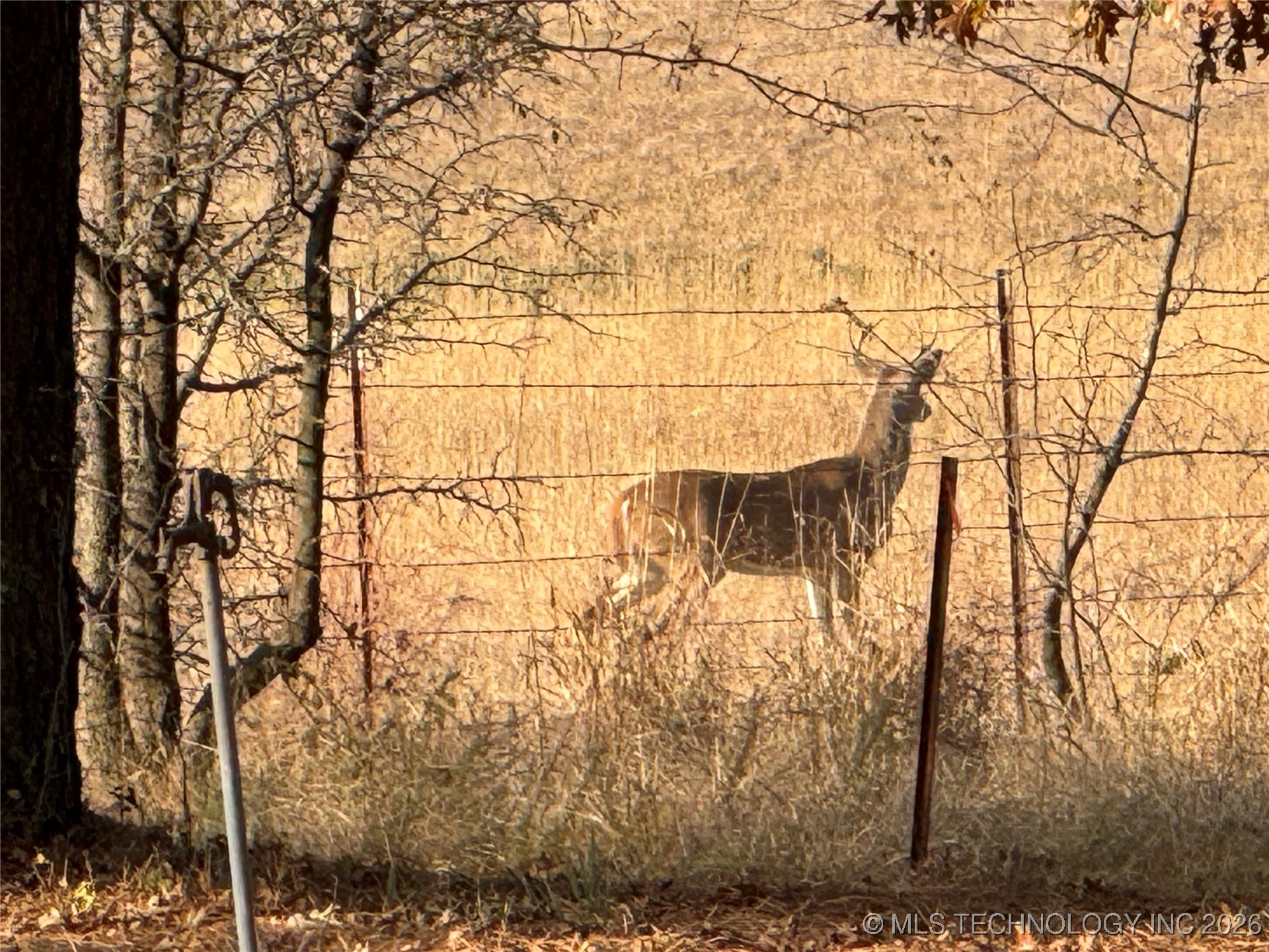 575 Majestic Hills Property Photo 90