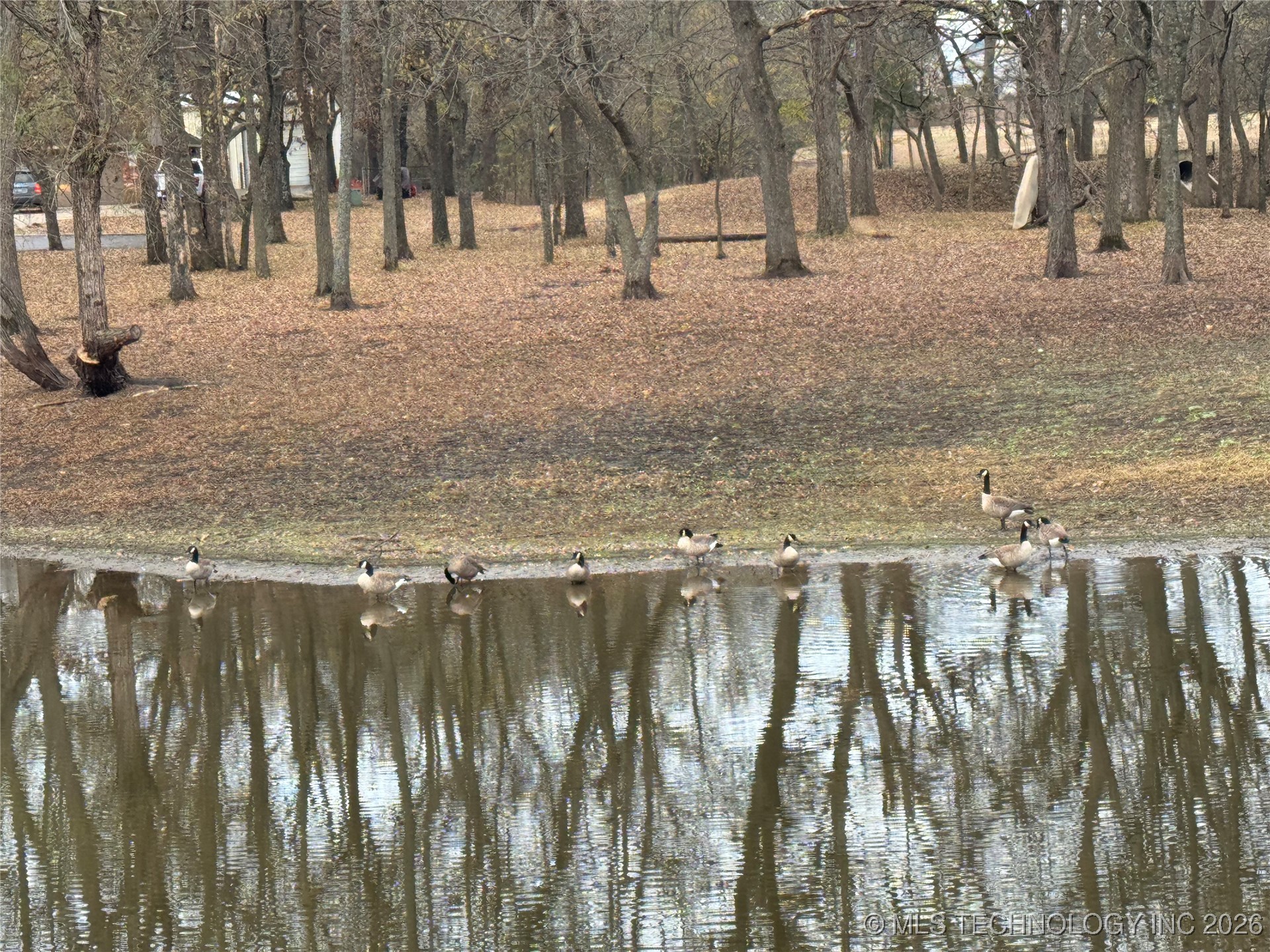 575 Majestic Hills Property Photo 91